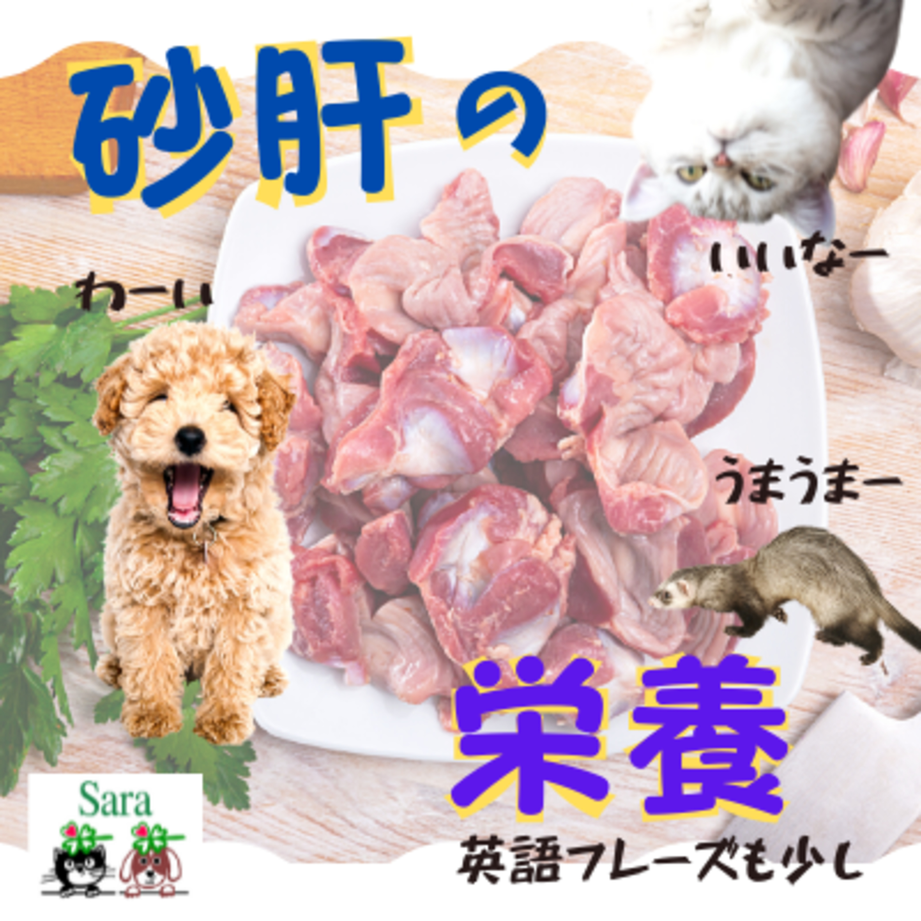 #173. 意外な効能！砂肝：豊富に含まれている栄養は？ペットに与えてみよう！ episode artwork