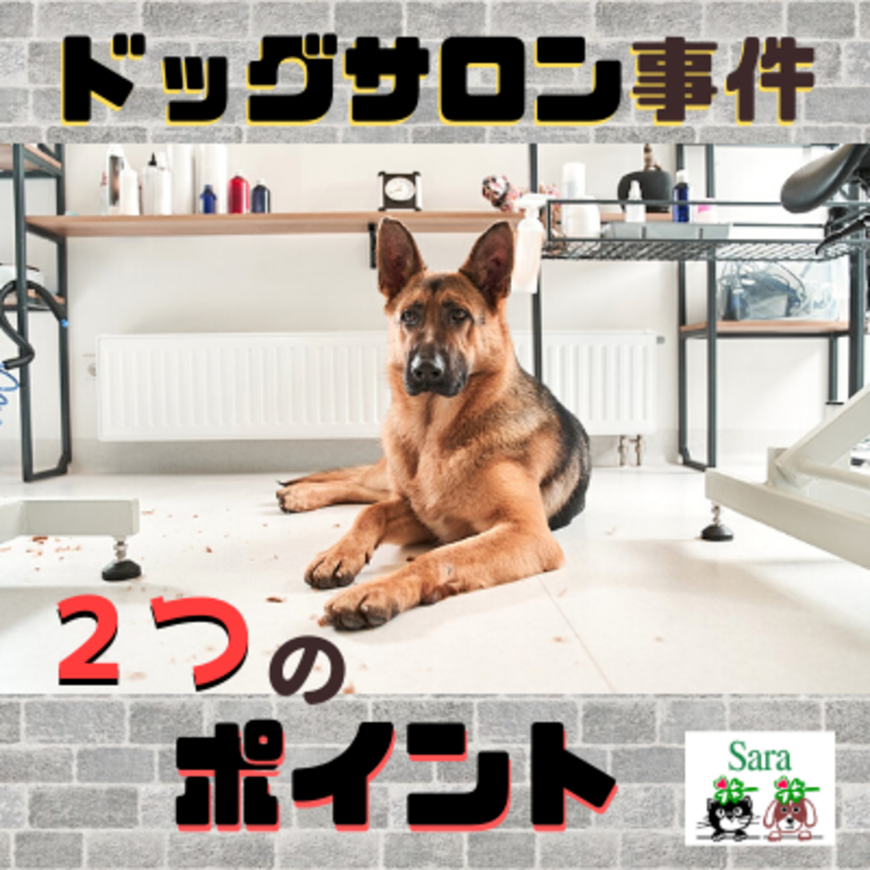 #174. ドッグサロン事件：信頼できるところに預けていますか？ episode artwork