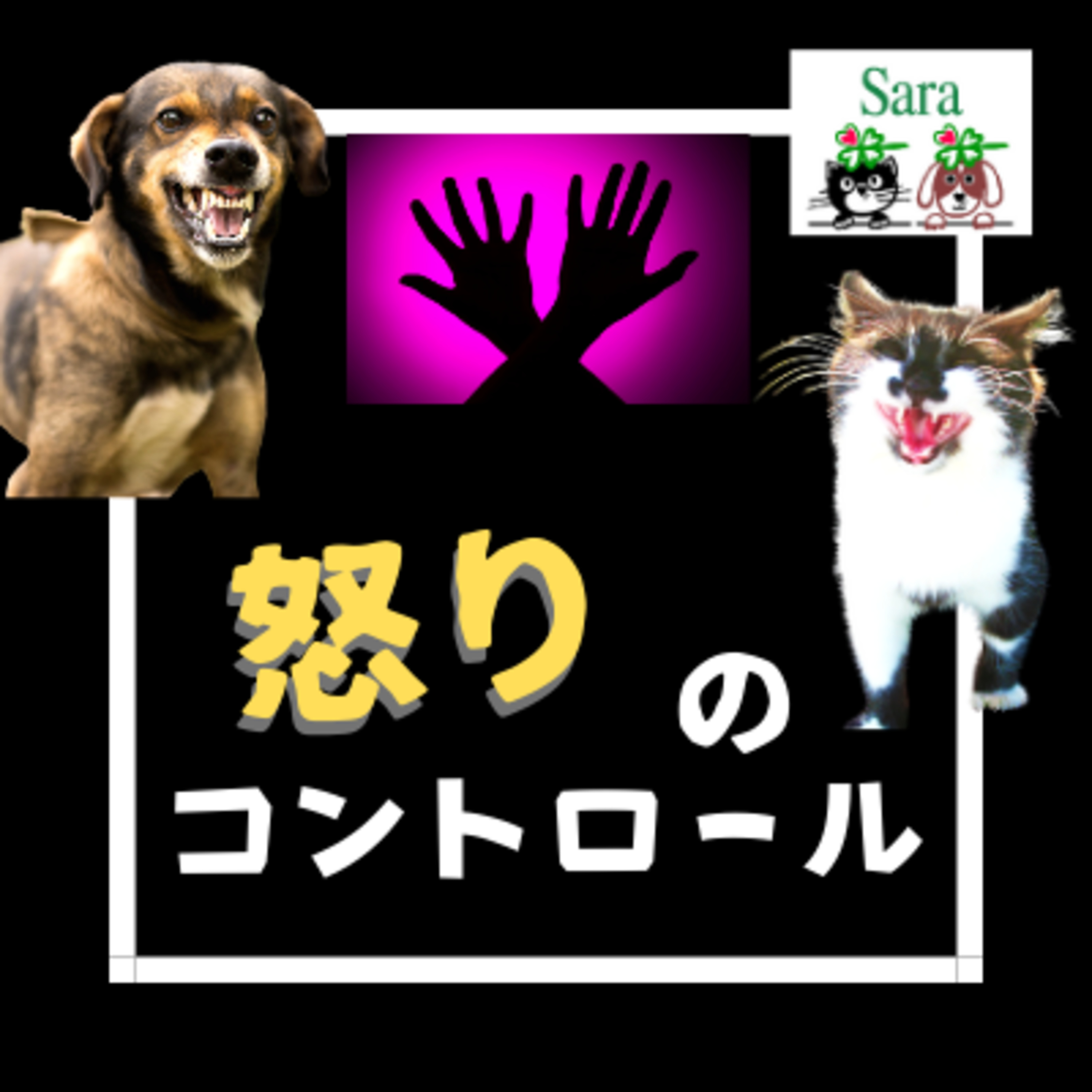 #178. ペットも人も！怒りはカラダに悪い：その影響は？対策についても episode artwork