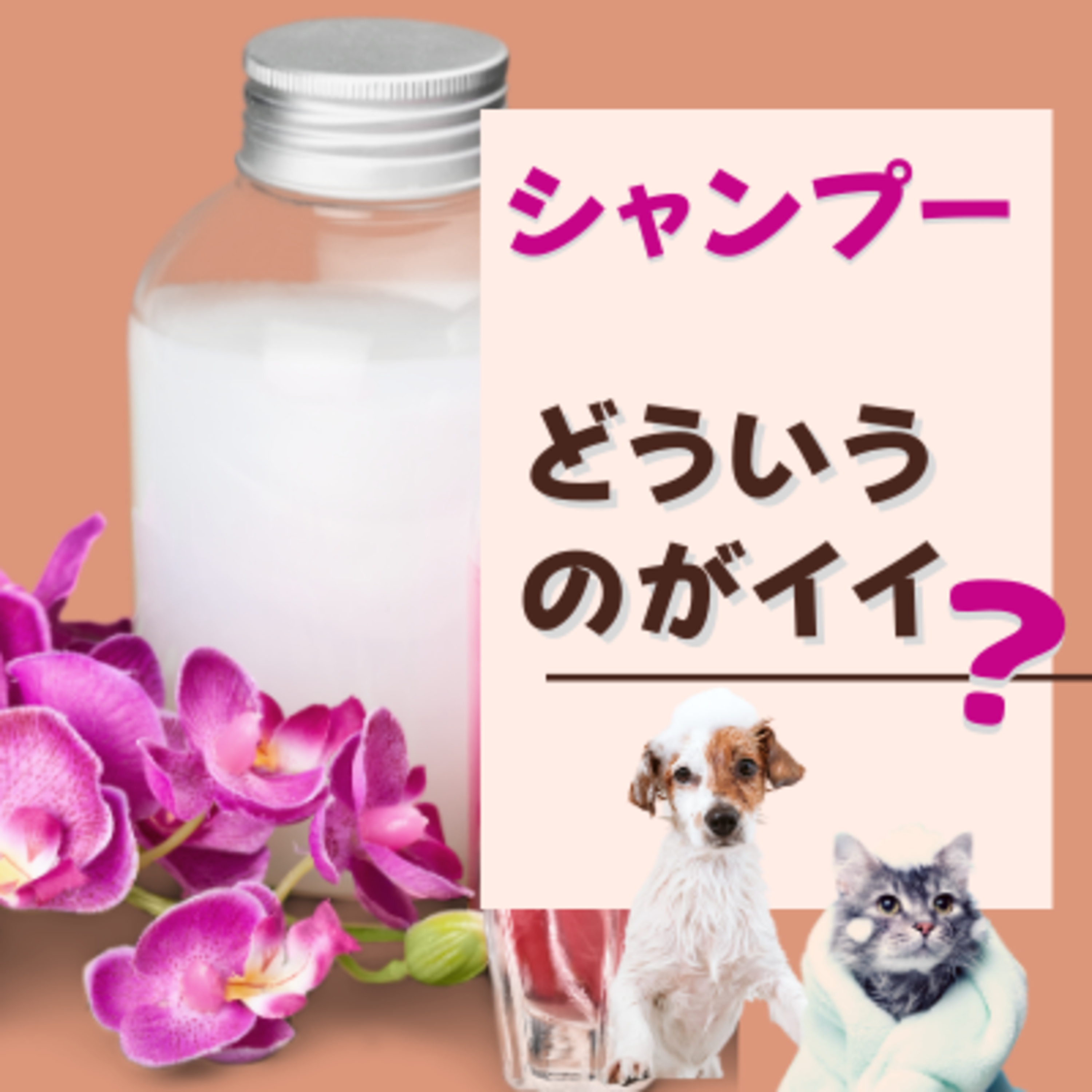 #196. 獣医師がおススメする自然派シャンプーは？（質問に回答） episode artwork