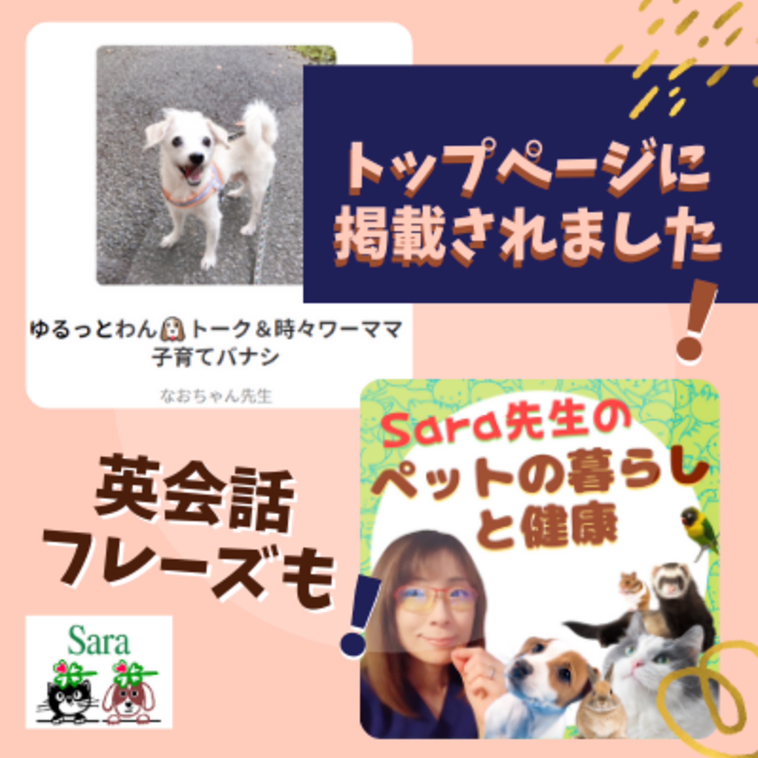 #204. トップページで紹介されました！コラボLIVE告知 & 英会話フレーズも！ episode artwork