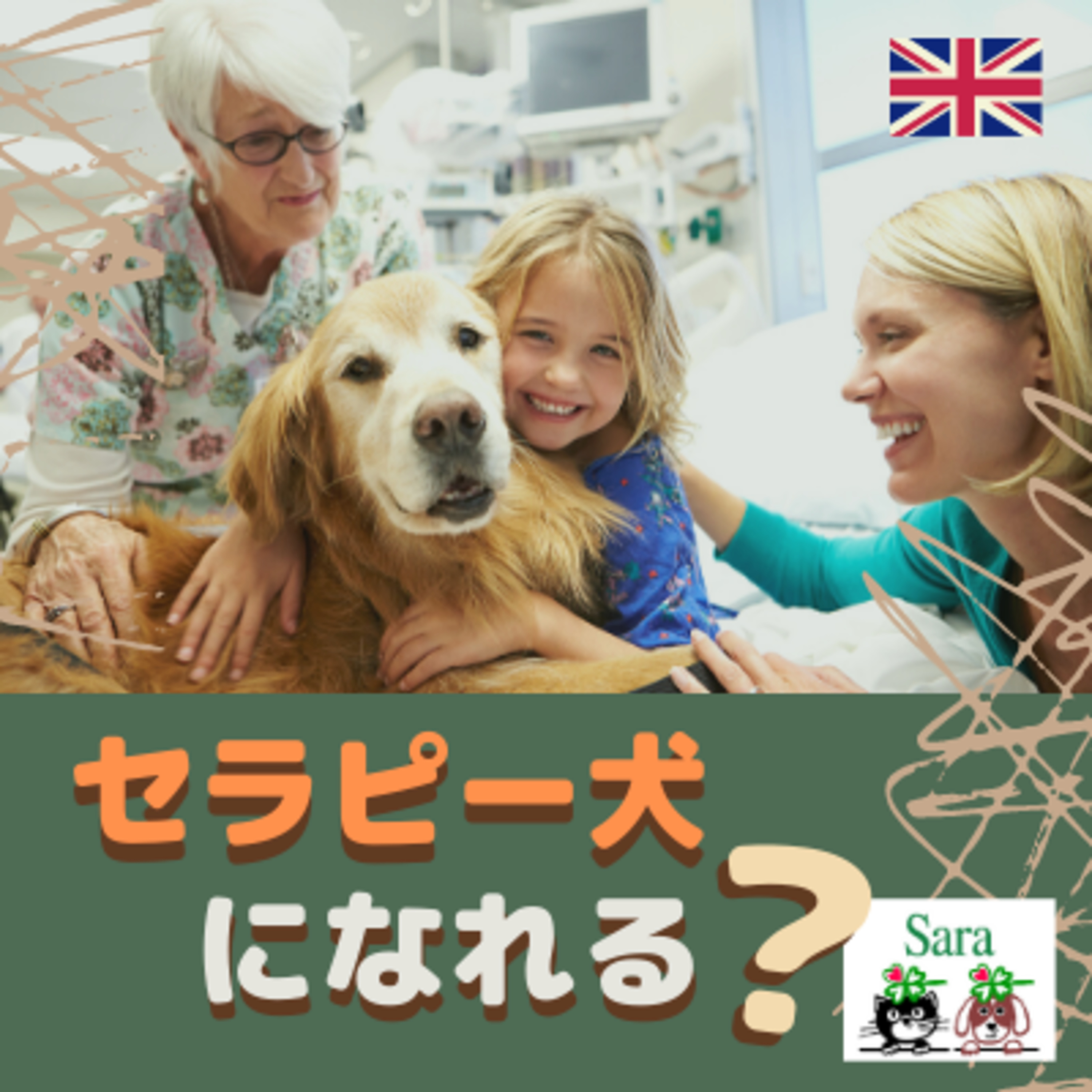 #208. イギリスの犬事情：あなたの犬もセラピー犬になれるかも？ episode artwork