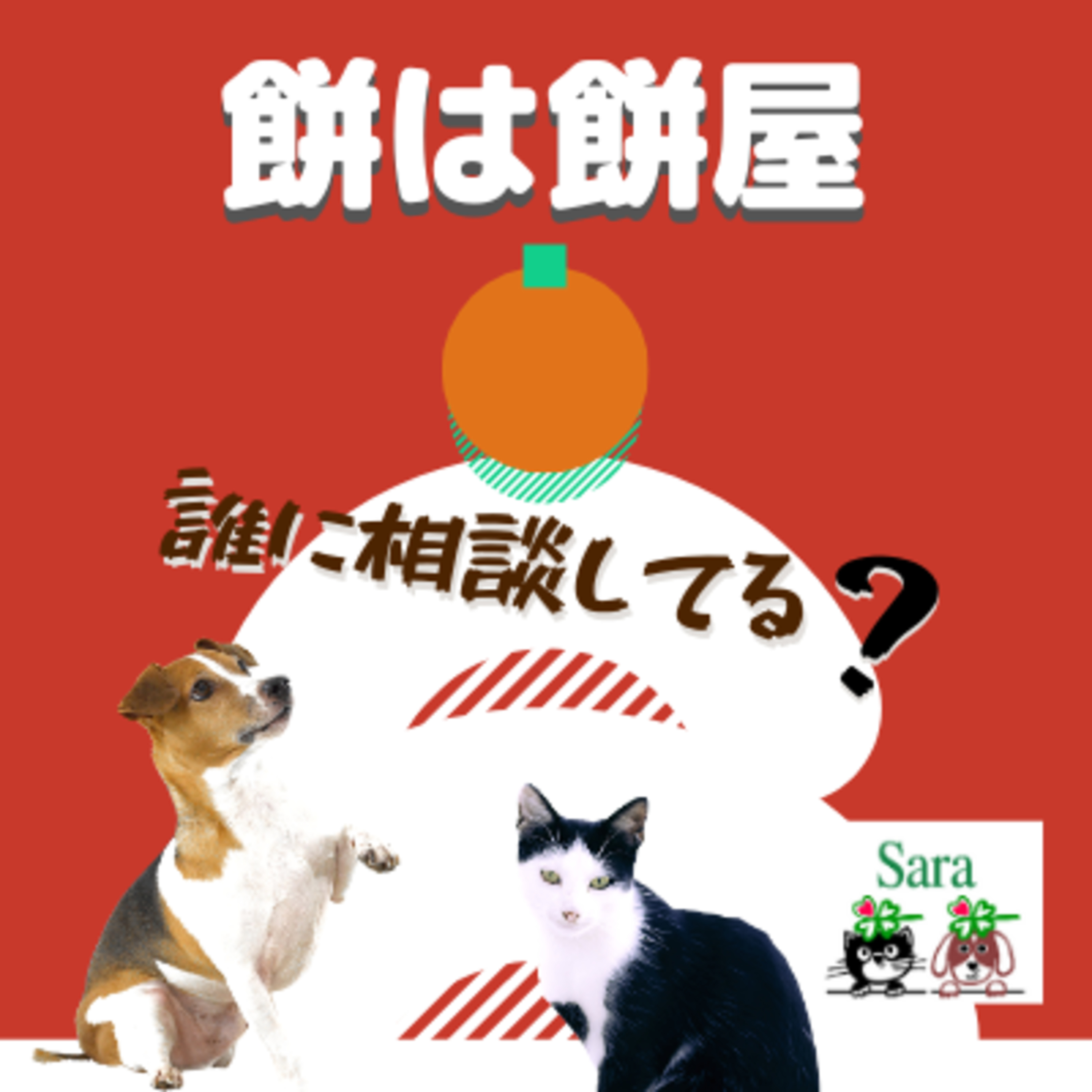 #218. 餅は餅屋：どこに相談していますか？ episode artwork