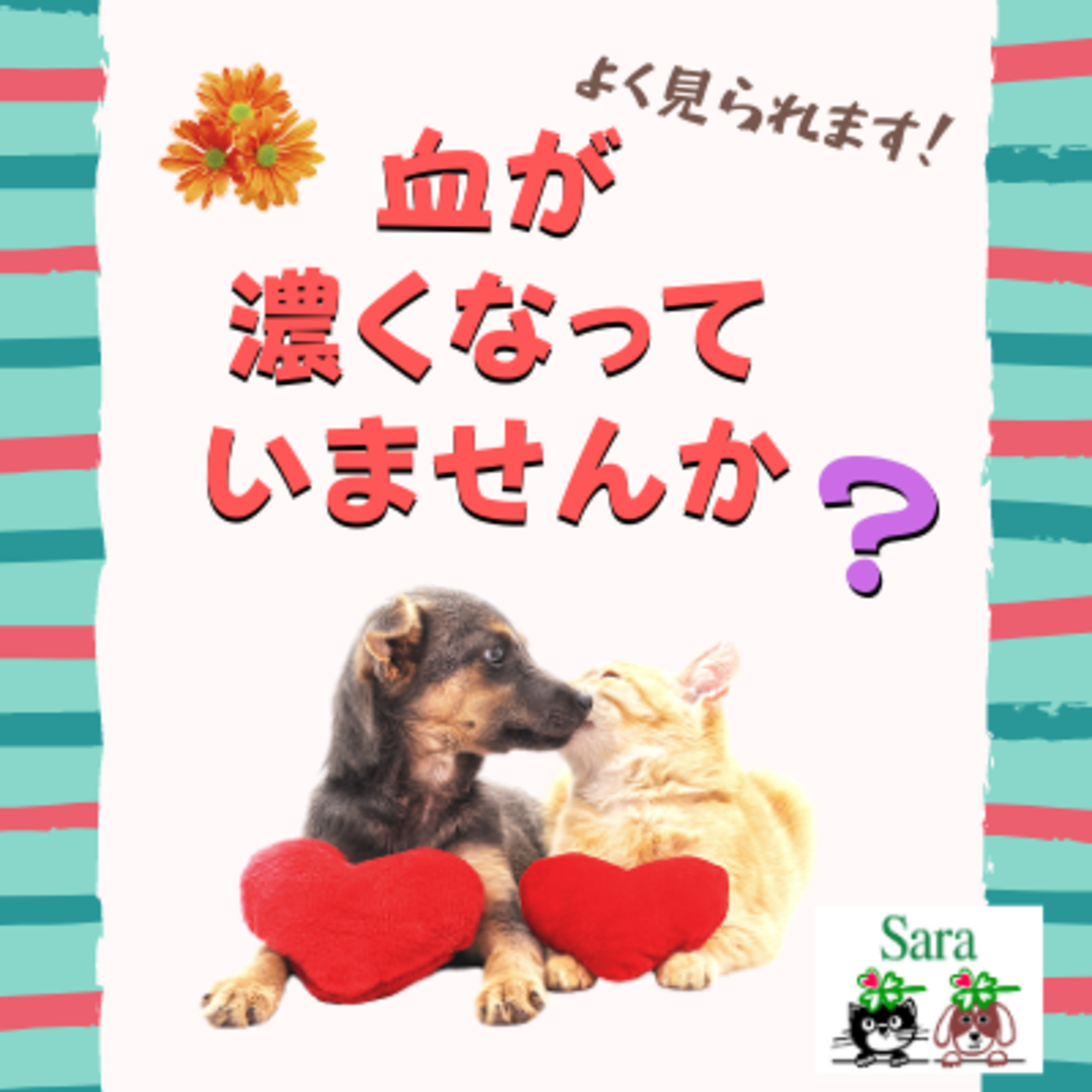 #220. 血が濃くなっていませんか？よくあります。原因は？（質問に回答） episode artwork
