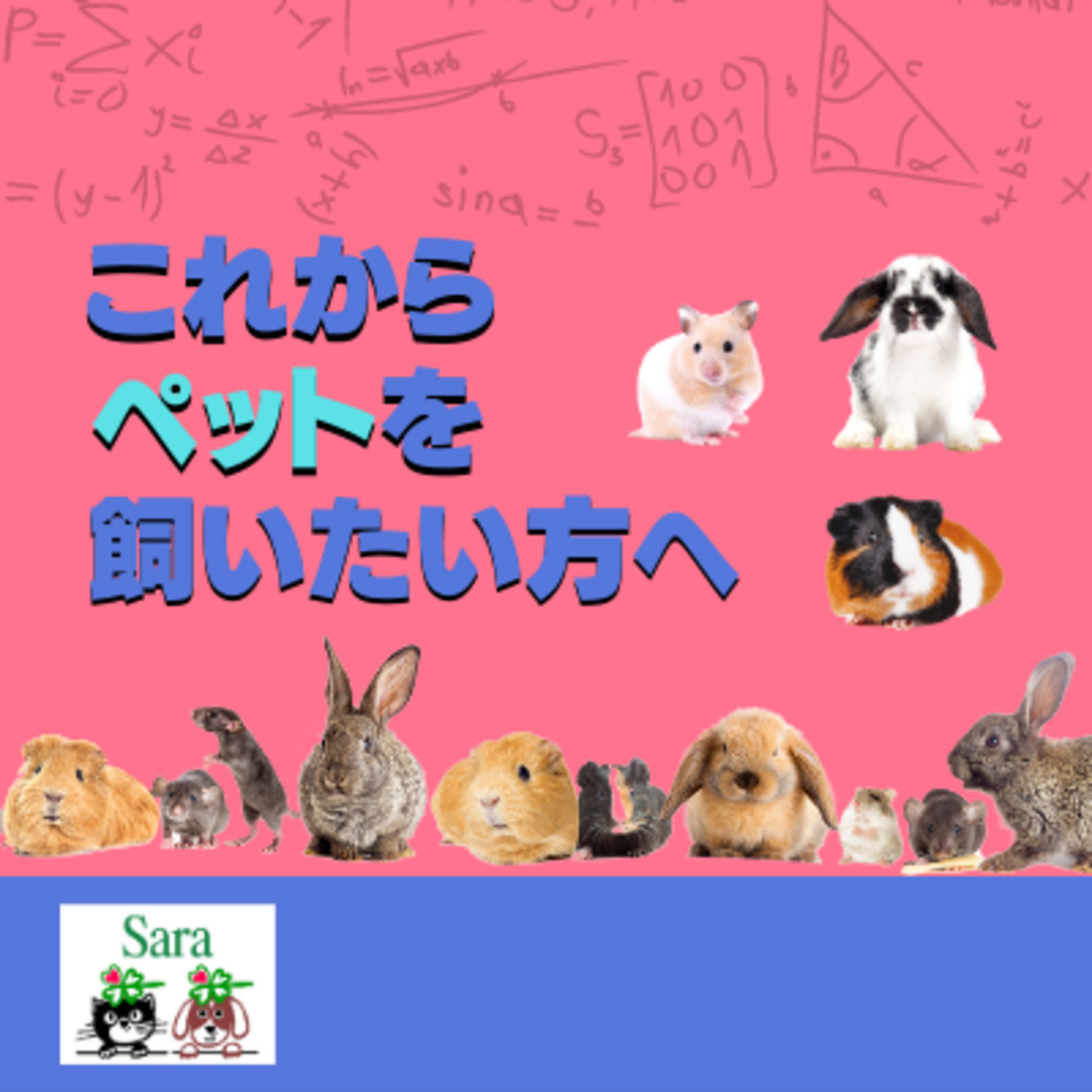 #224. これからペットを飼おうと思っている方へ：必要な心構えは？ episode artwork