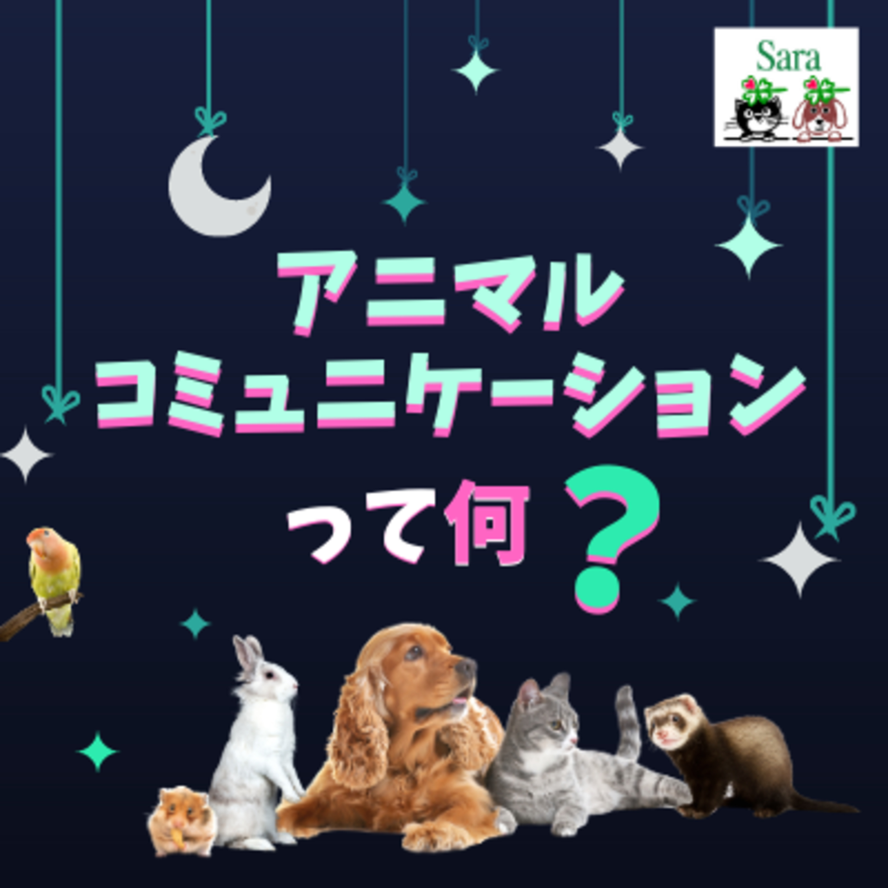 #228. アニマルコミュニケーションってなに？（コラボLIVEします） episode artwork