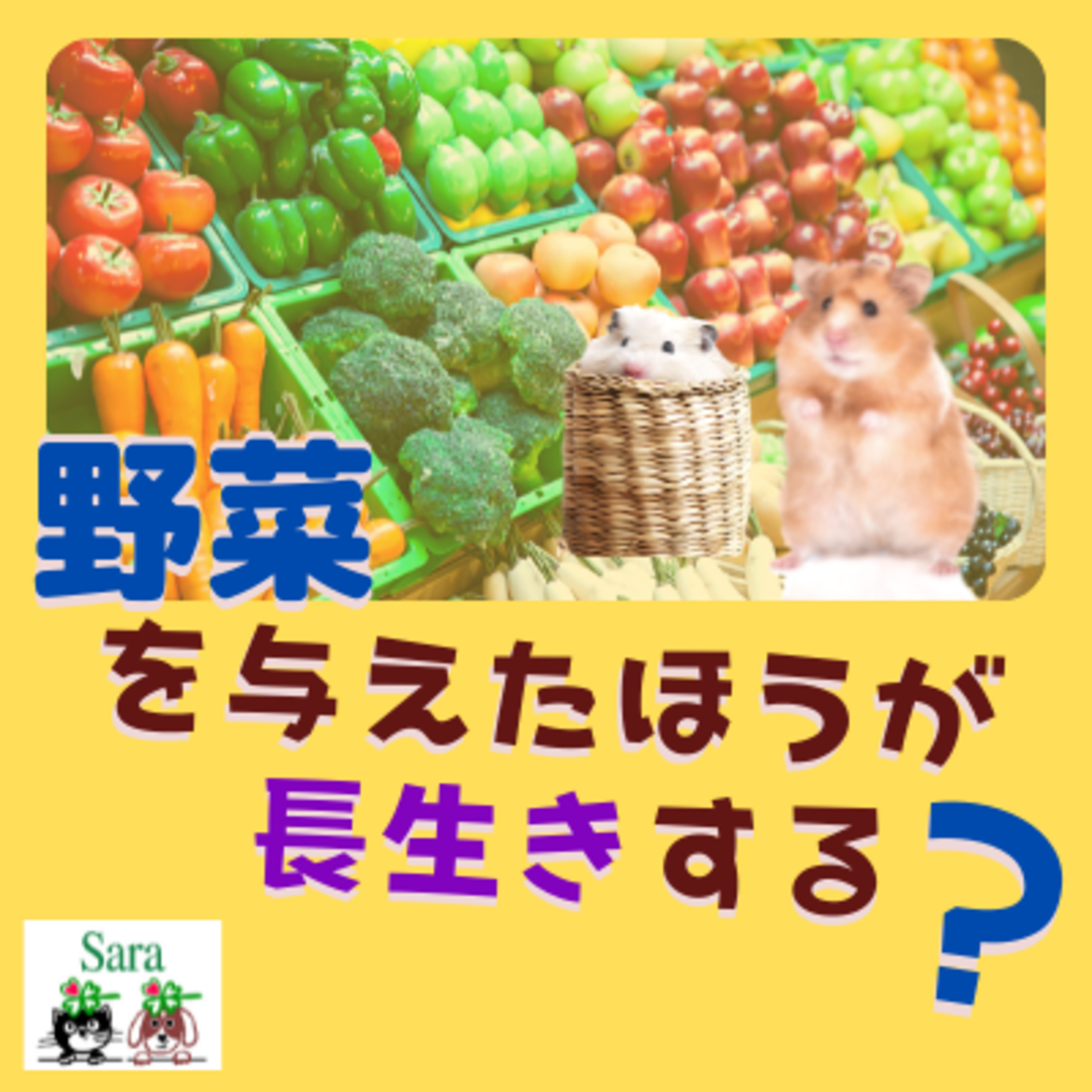 獣医Sara先生のペットの暮らしと健康.（Podcast with Holistic Vet Sara）