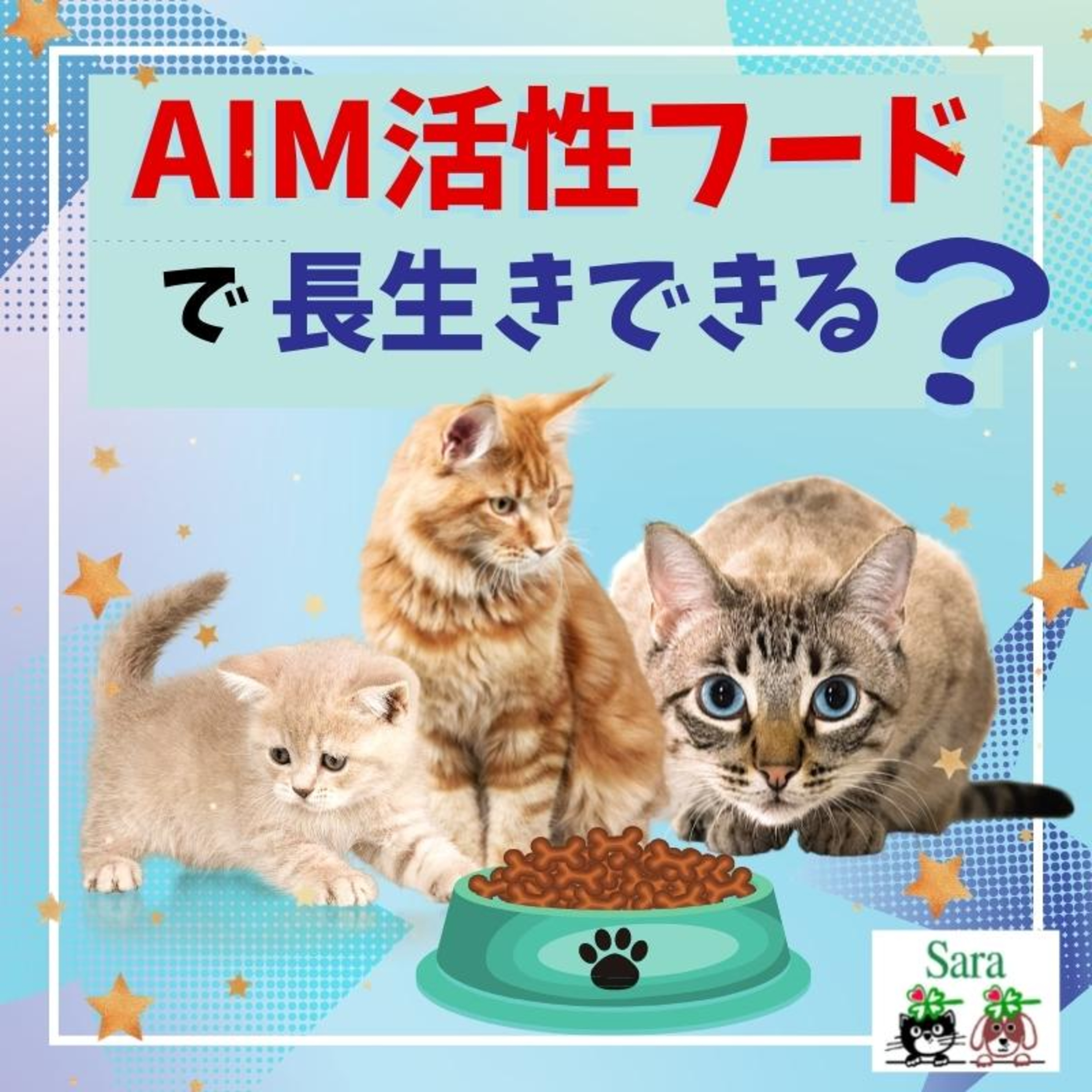 #550. 腎臓対策にAIM活性フードで猫の寿命は本当に３０歳まで延びる？ episode artwork