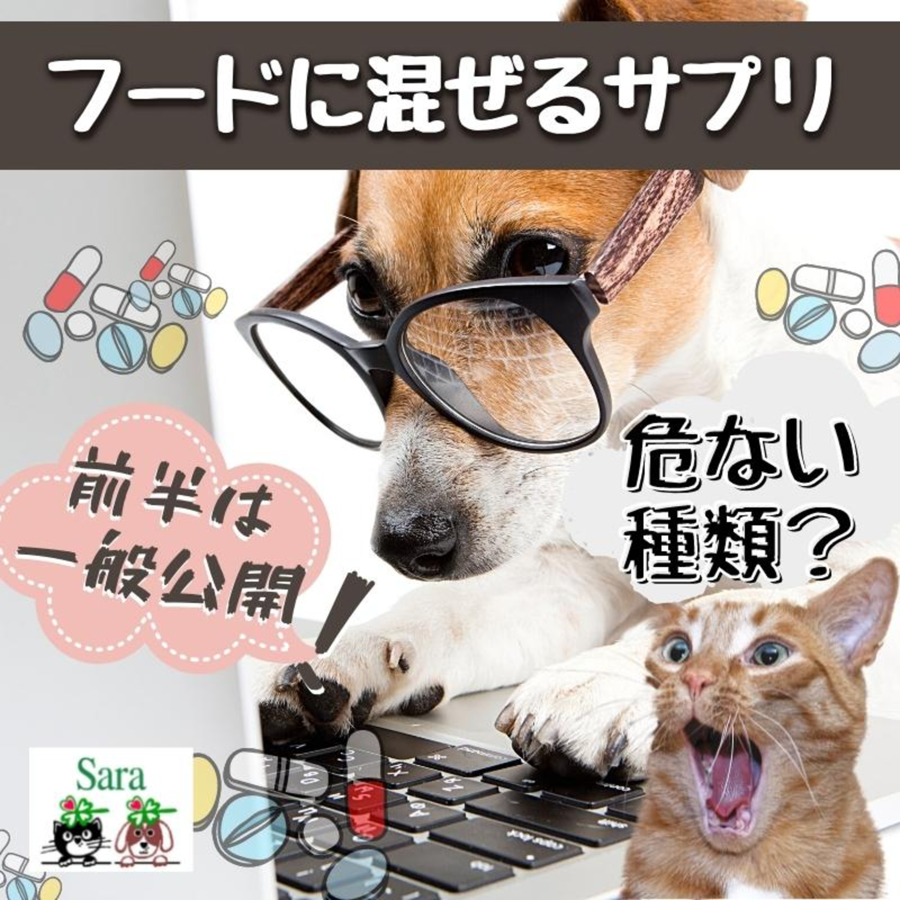 #602. ペットフードに追加するサプリの種類：選ばないとマズイ？過剰のリスク（質問に回答） episode artwork