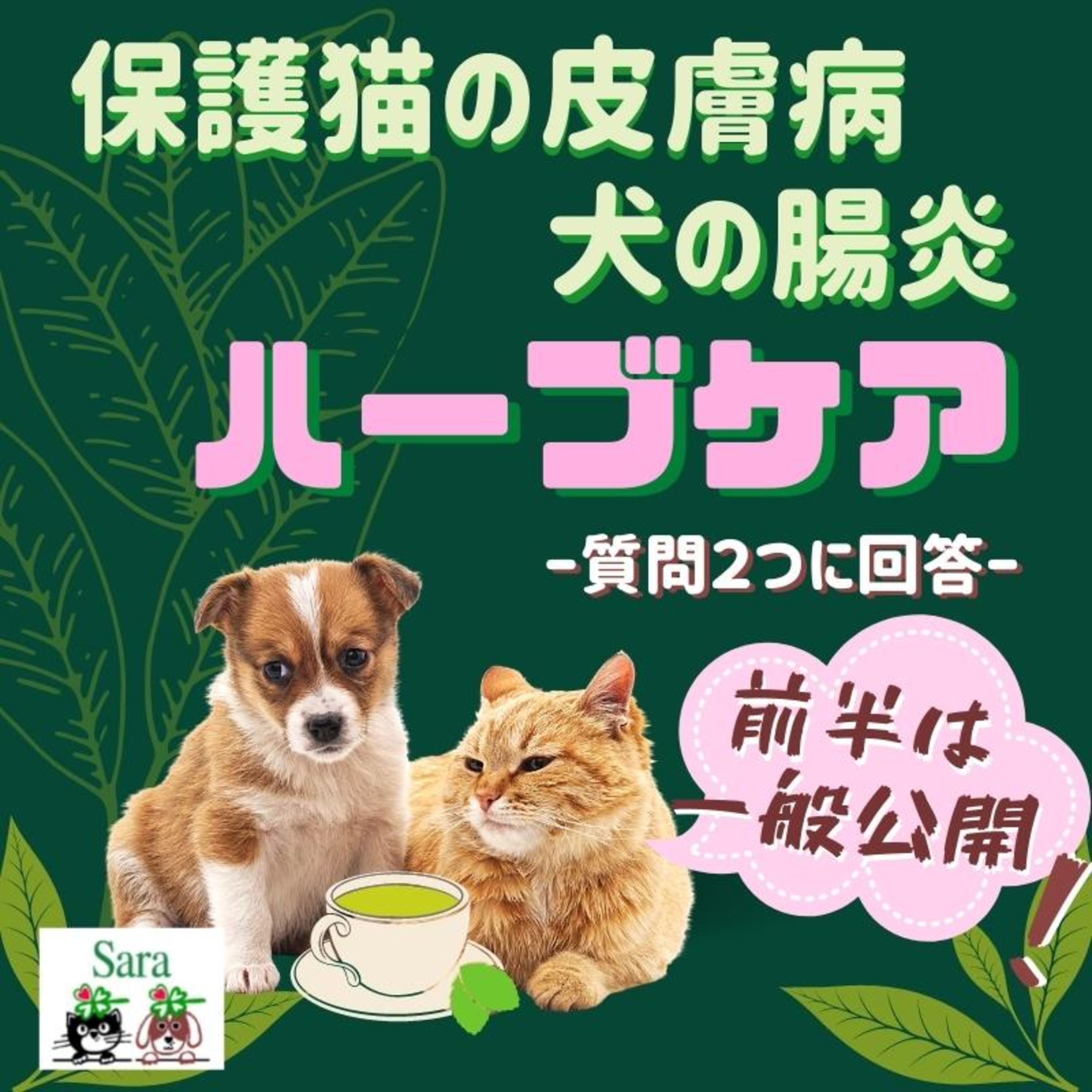 獣医Sara先生のペットの暮らしと健康.（Podcast with Holistic Vet Sara）