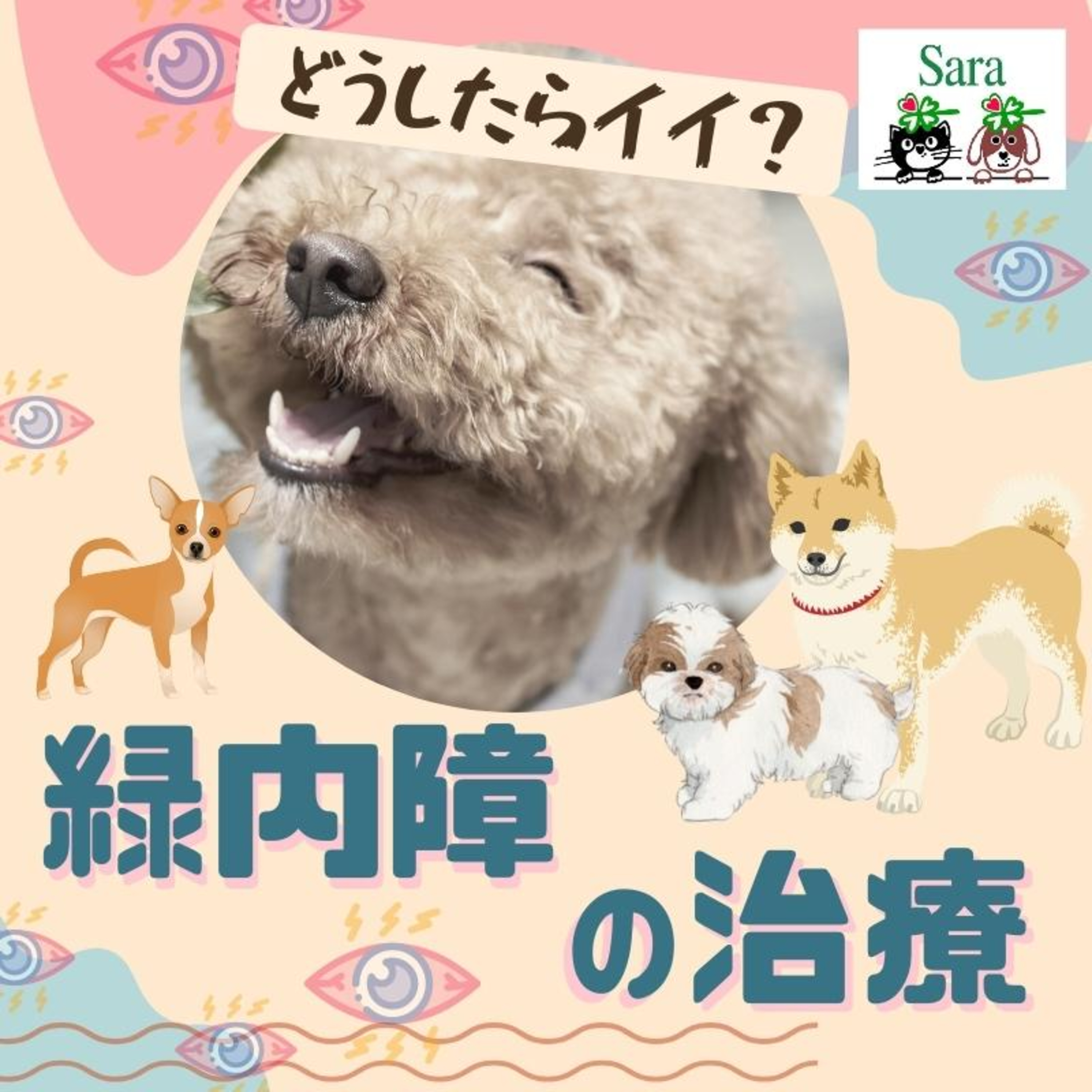 #615. 緑内障の治療：どうしたらイイ？（質問に回答） episode artwork