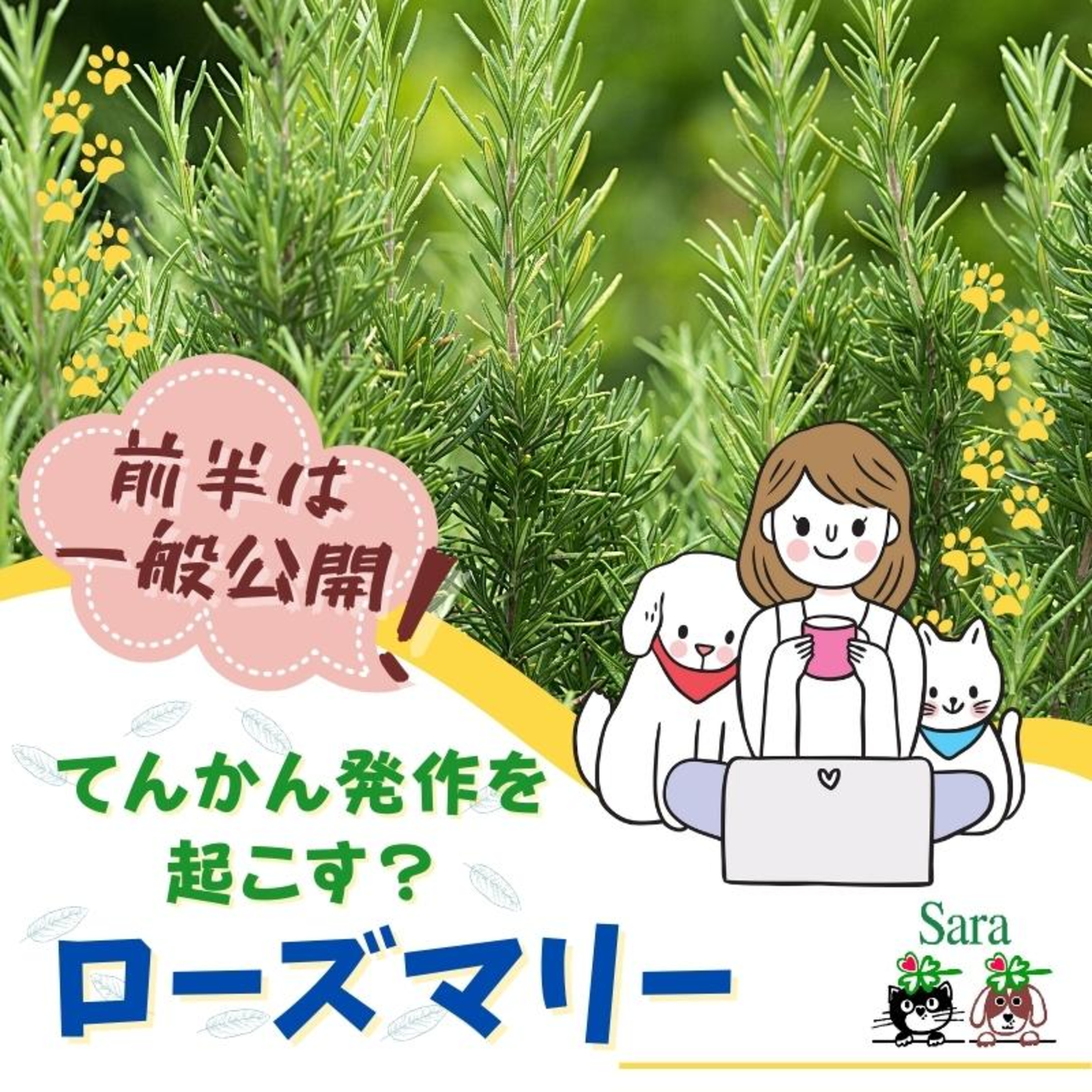 #660. ローズマリーの特徴：てんかん発作を起こす？（質問に回答） episode artwork