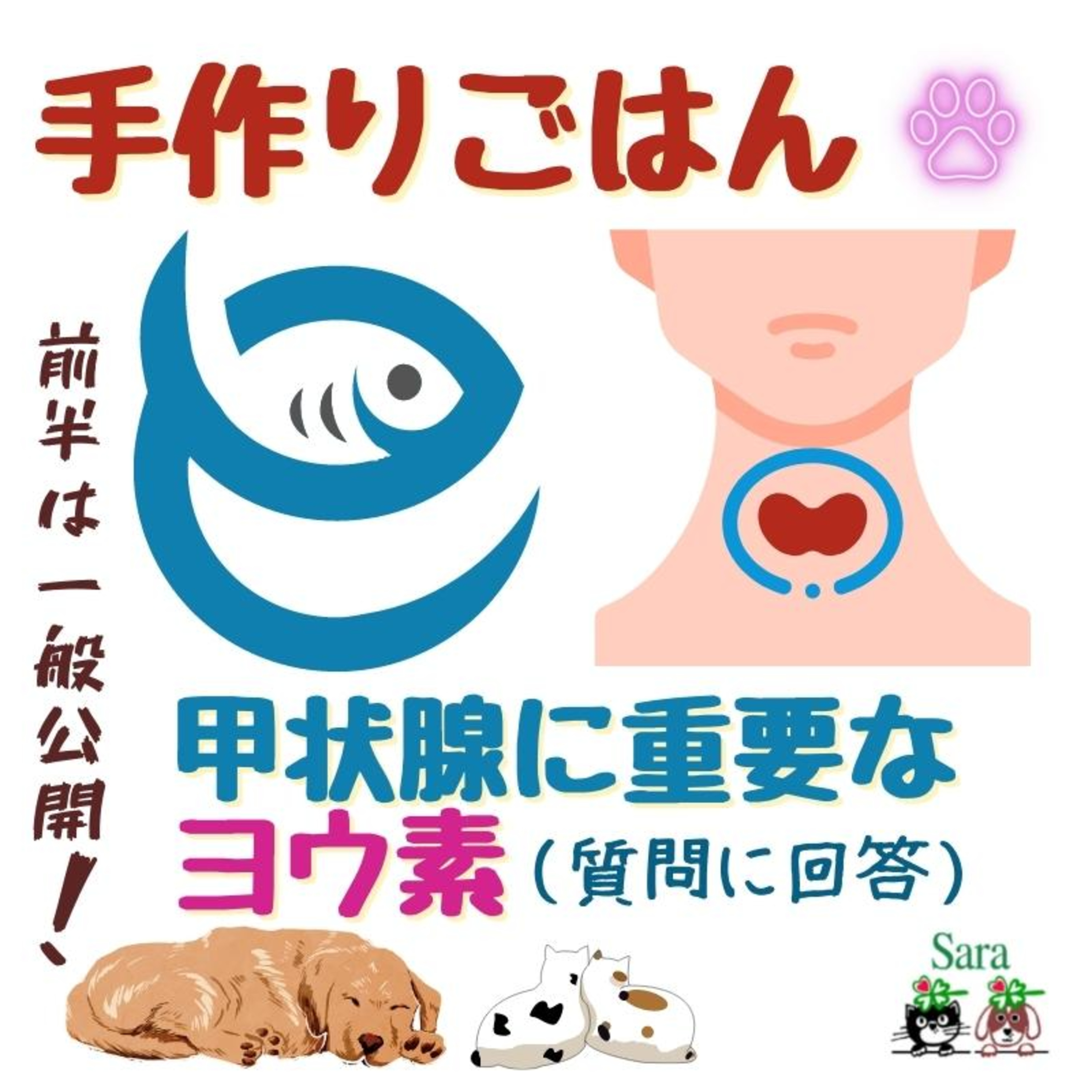 #683. 手作りごはん：甲状腺に重要なヨウ素の考え方（質問に回答） episode artwork