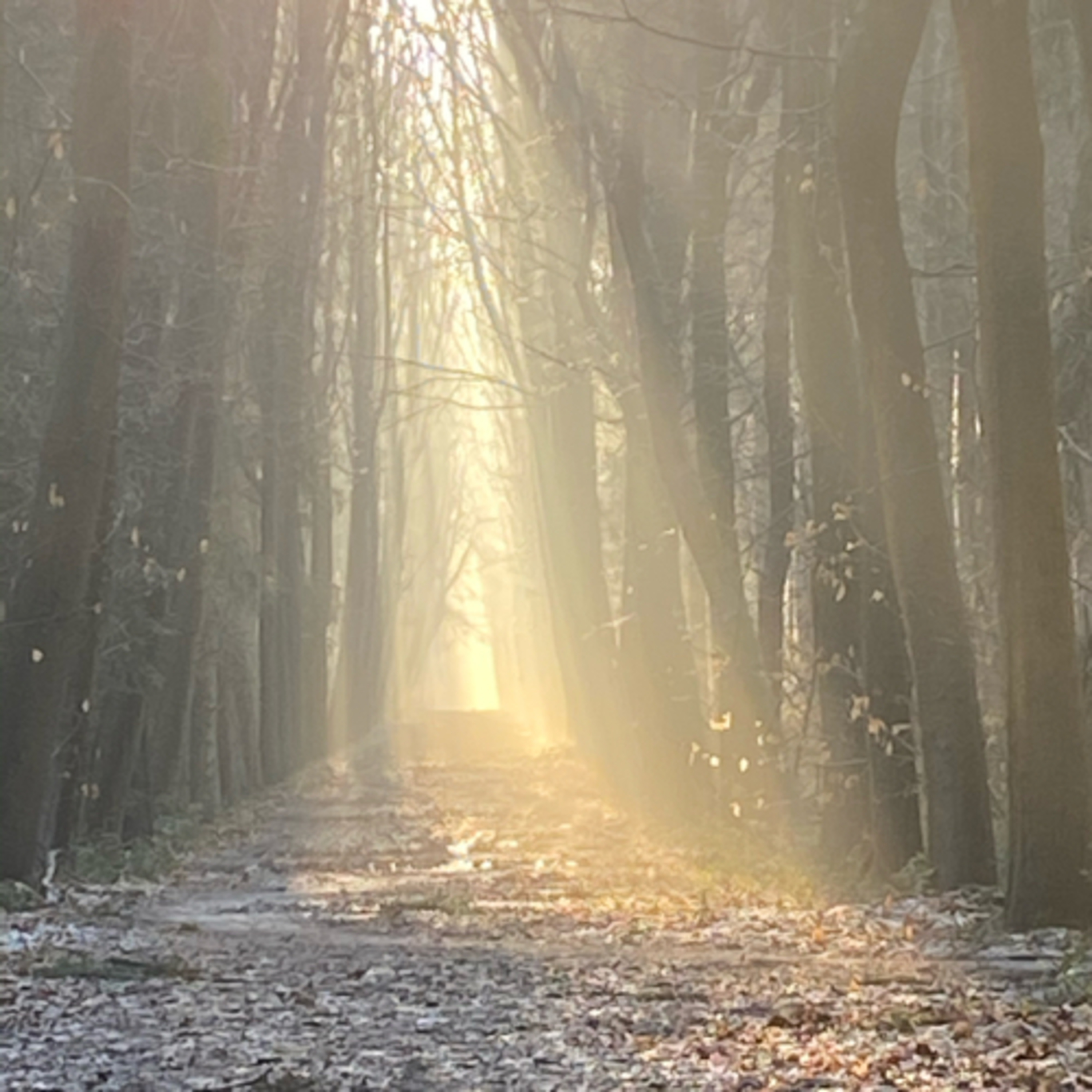 Meditatie, visualisatie en thuis komen bij jezelf