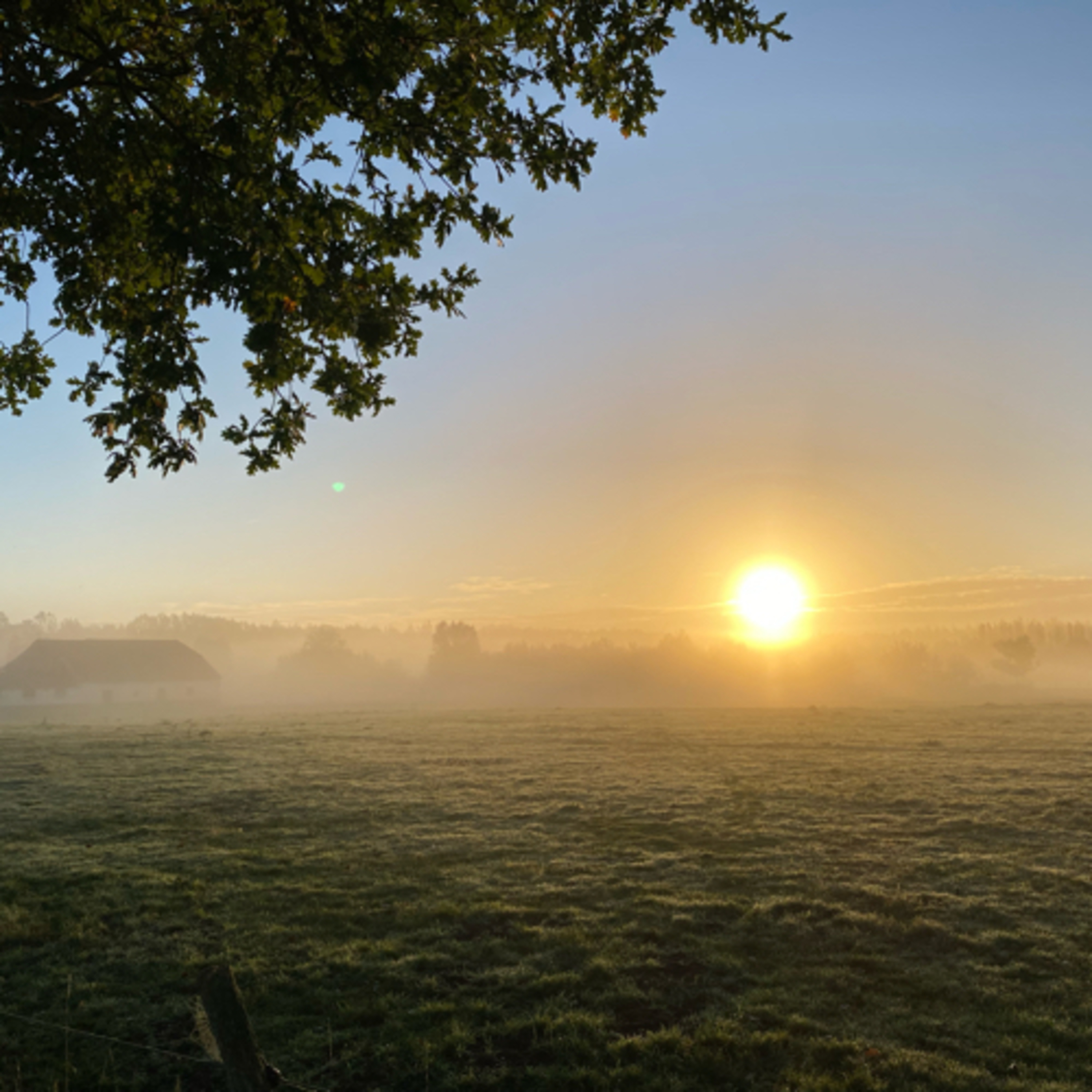 Meditatie, visualisatie en thuis komen bij jezelf