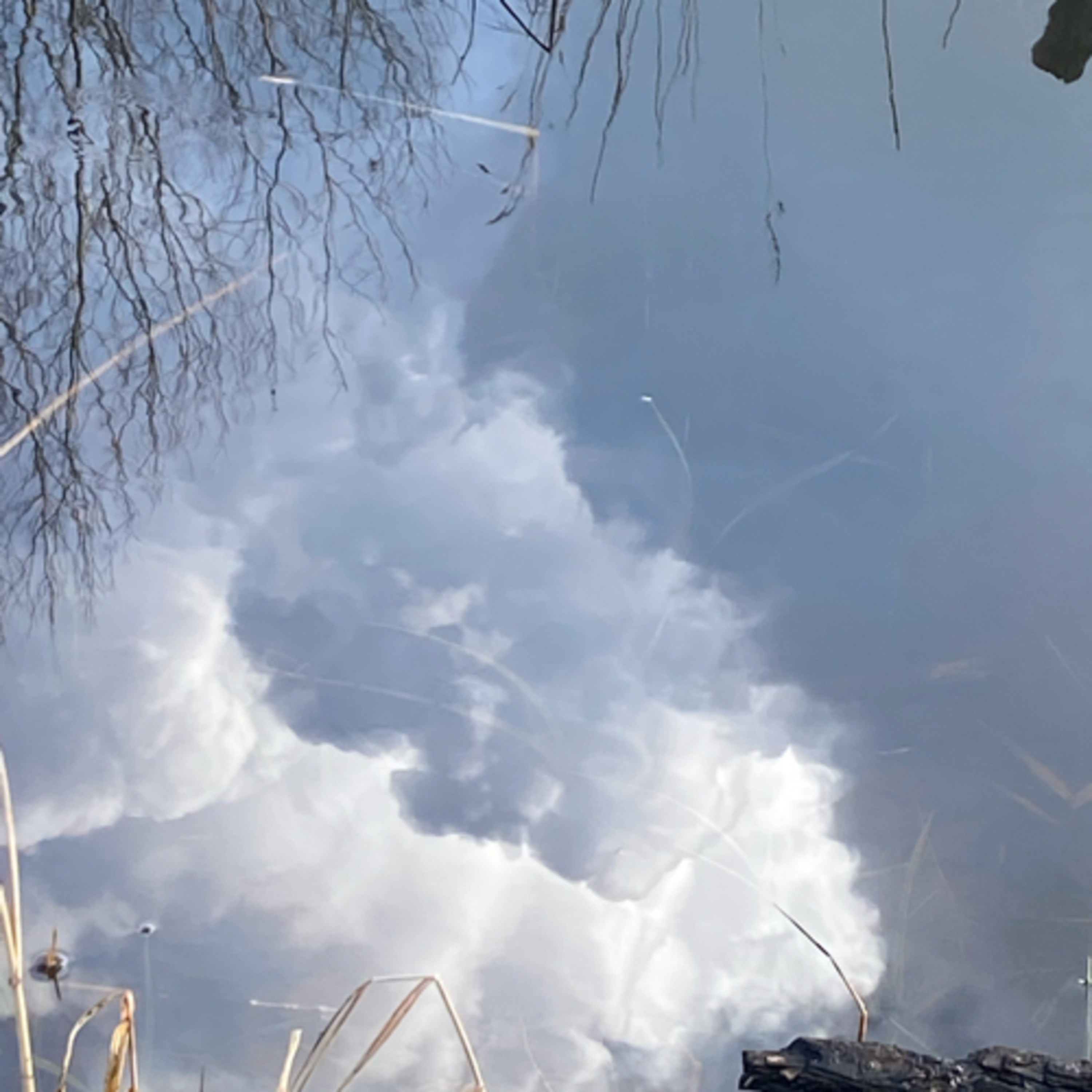 Meditatie, visualisatie en thuis komen bij jezelf