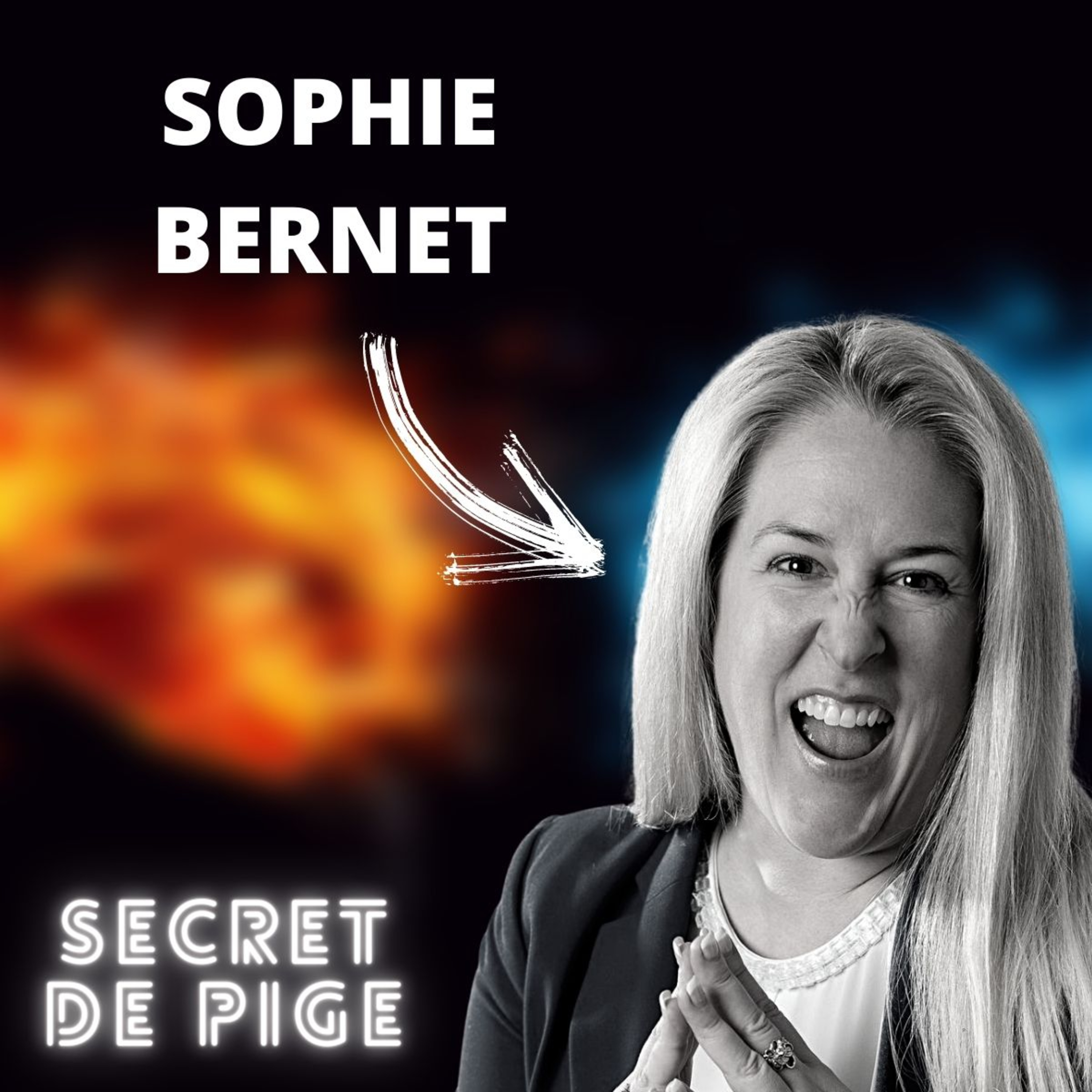 Secret de Pige - Immobilier