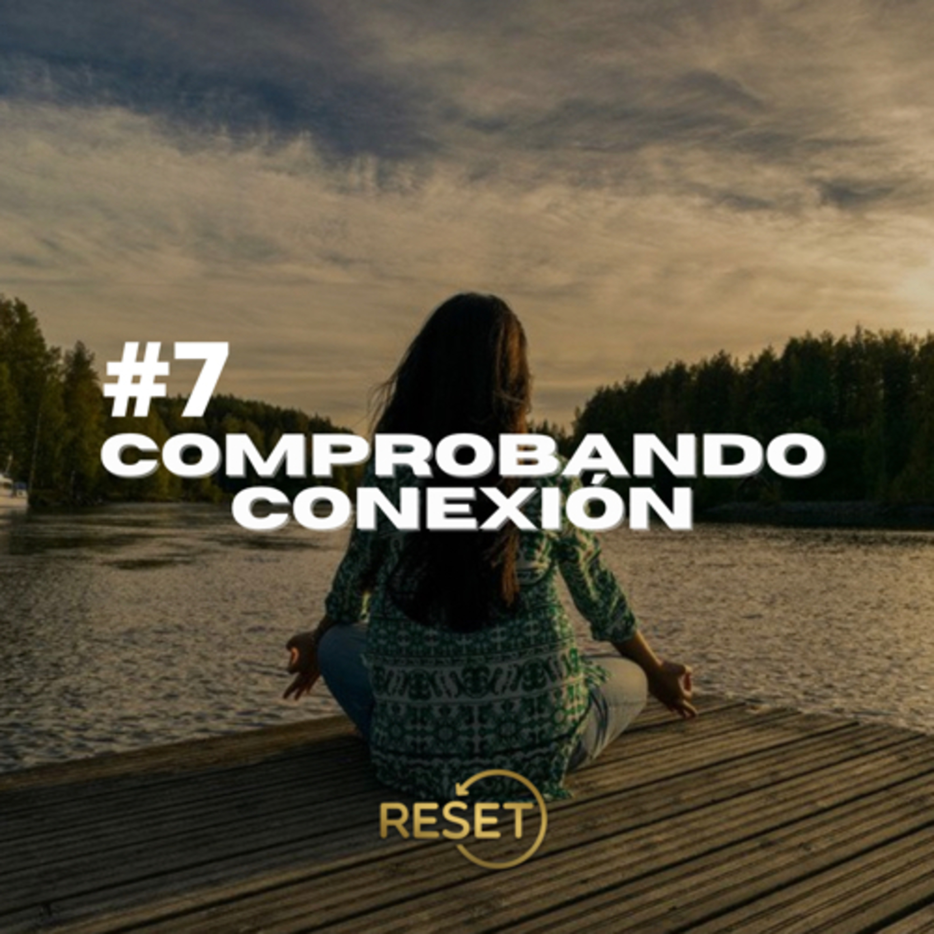 Portada de RESET
