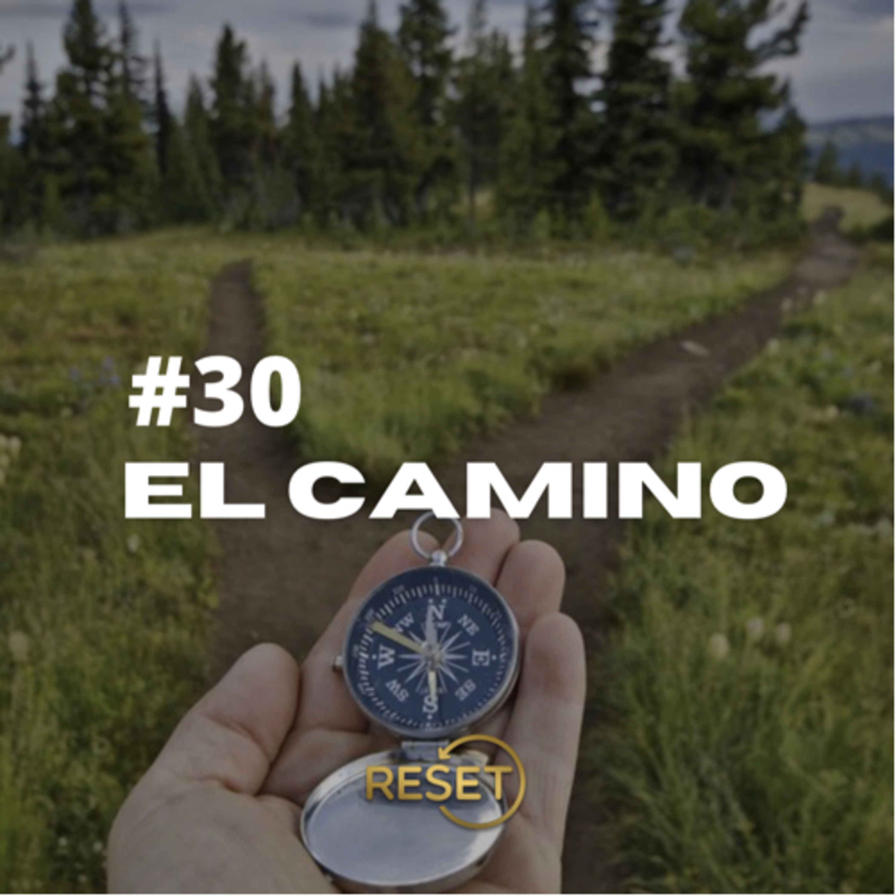 Portada de RESET