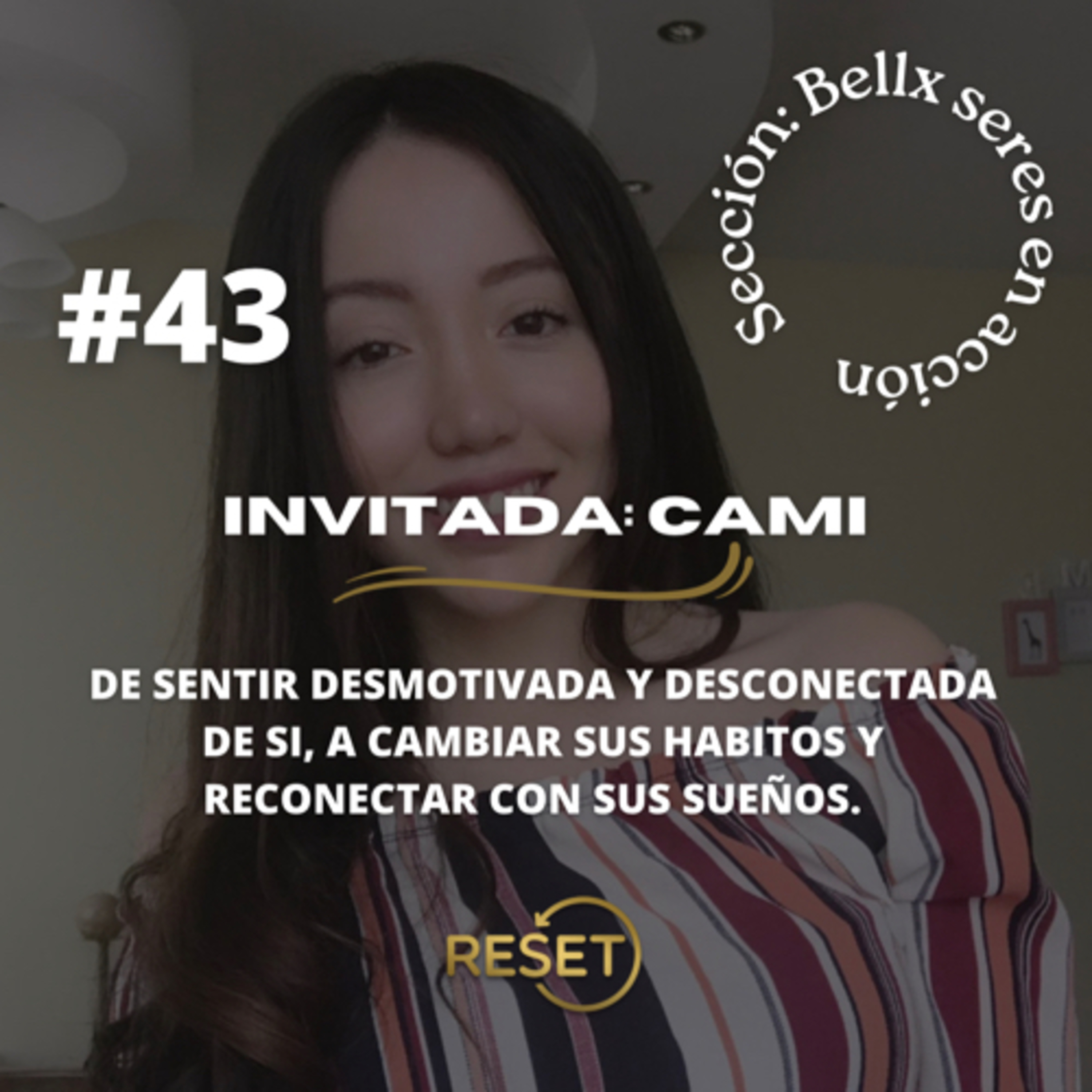 Portada de RESET