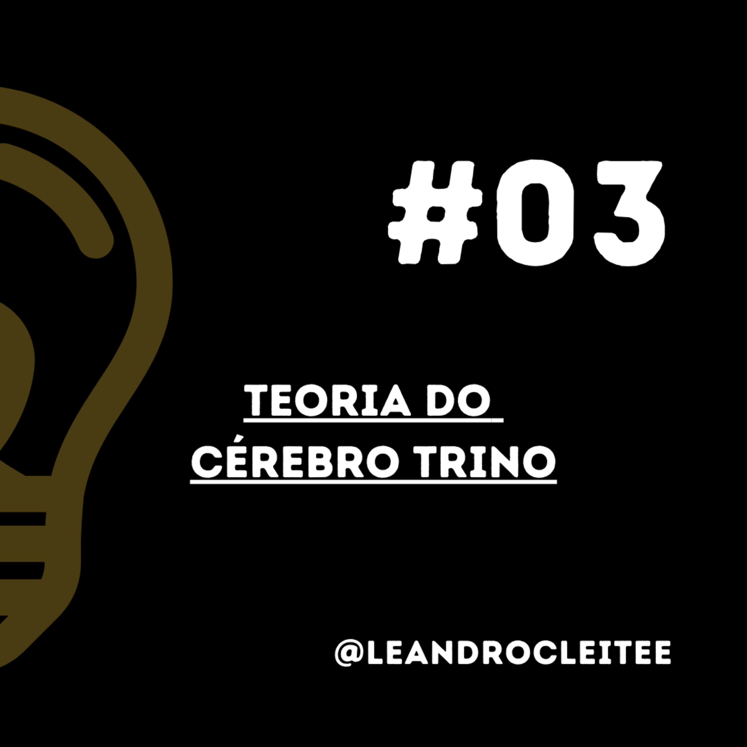 Leandro Falando