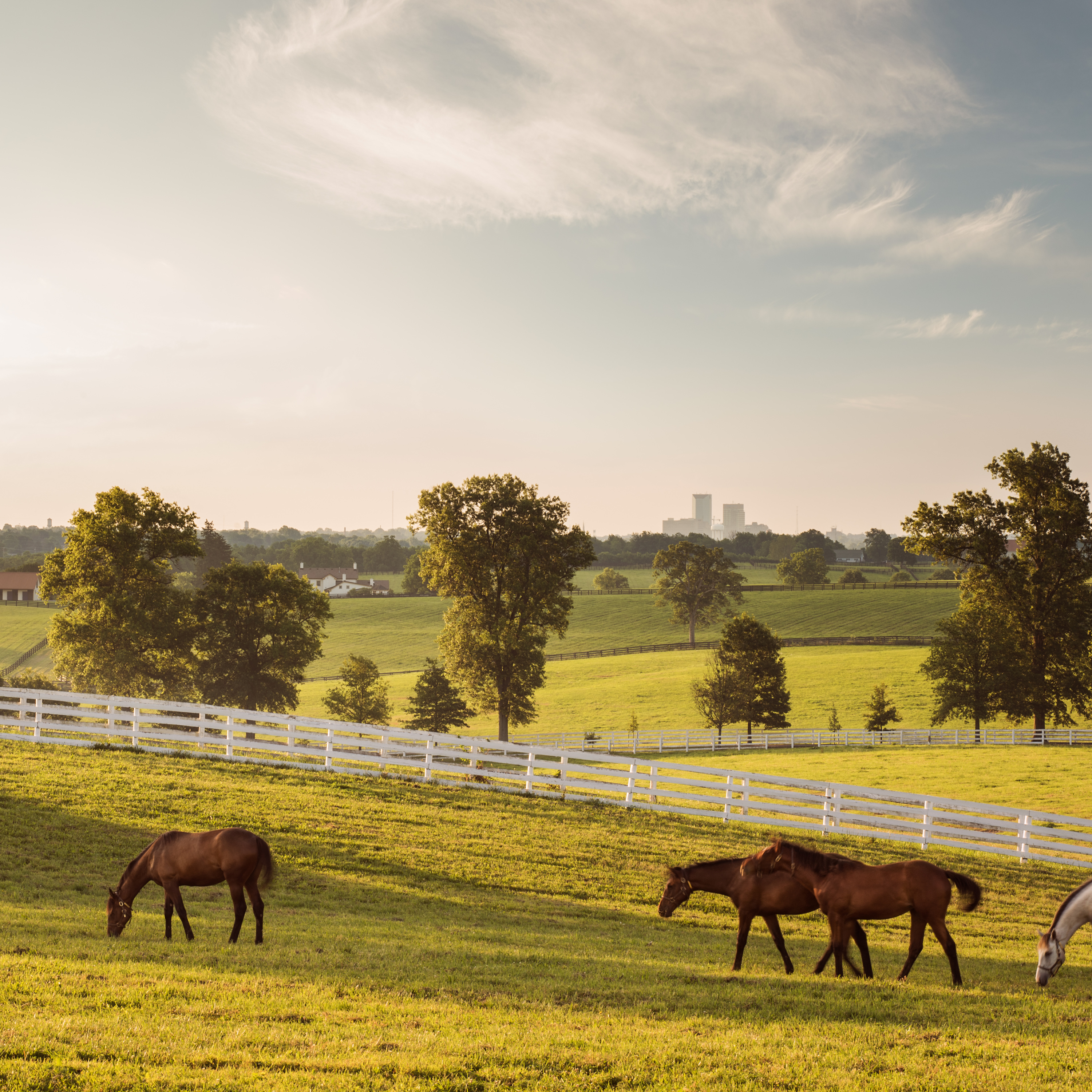 Horses, Hats and Bourbon with Claudia Coffey