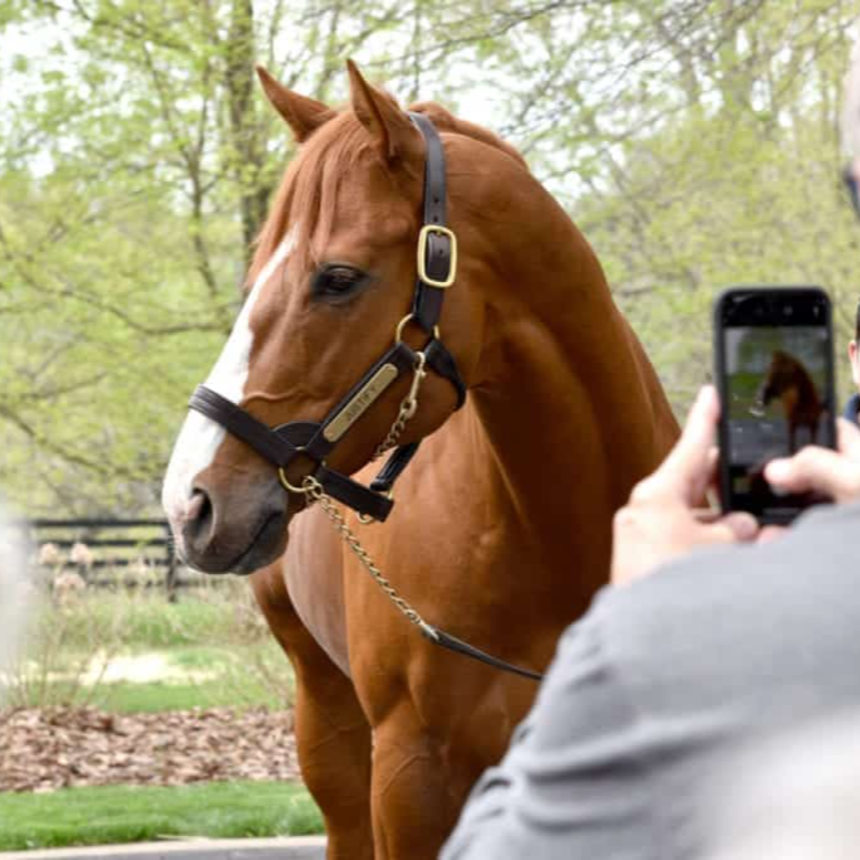 Horses, Hats and Bourbon with Claudia Coffey