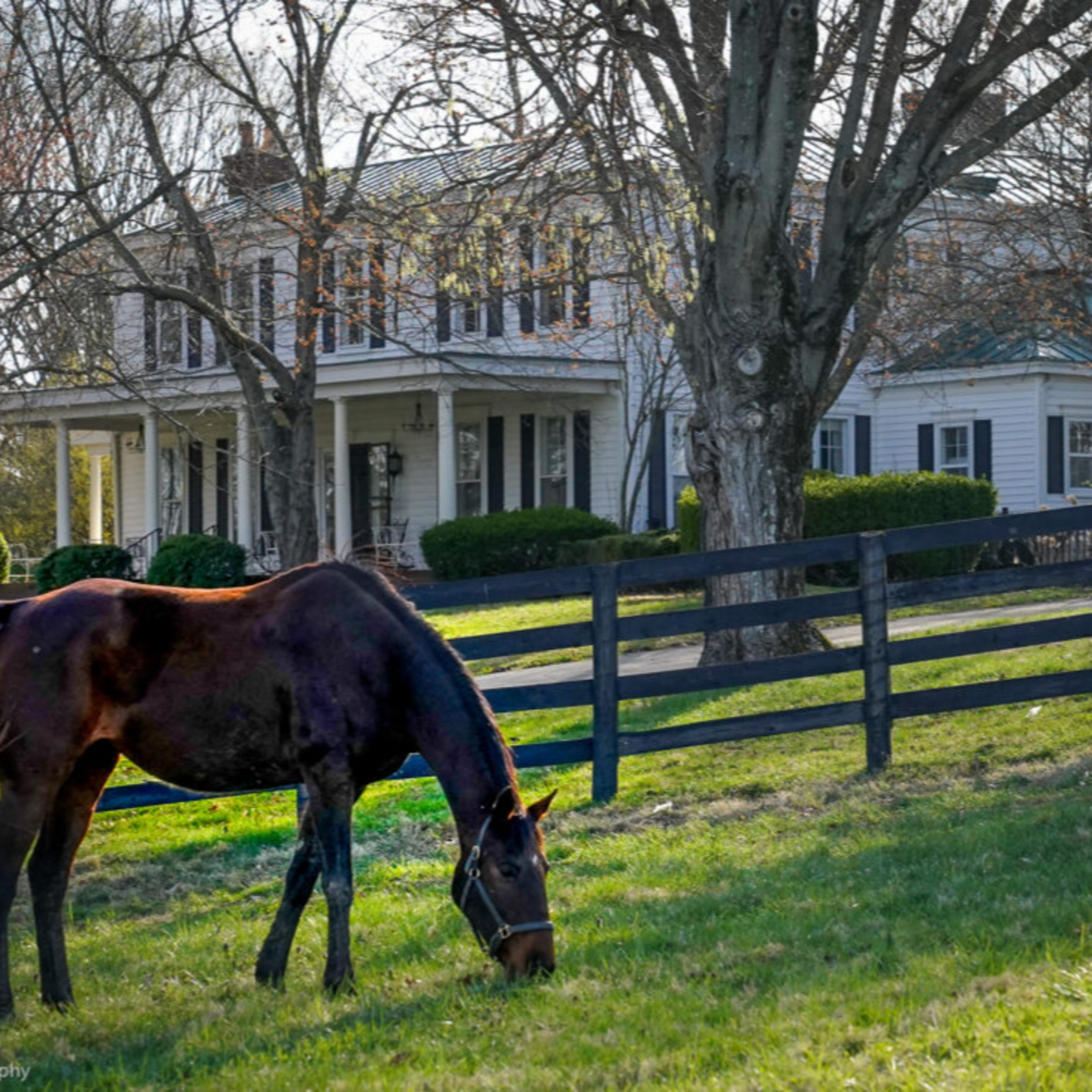 Horses, Hats and Bourbon with Claudia Coffey