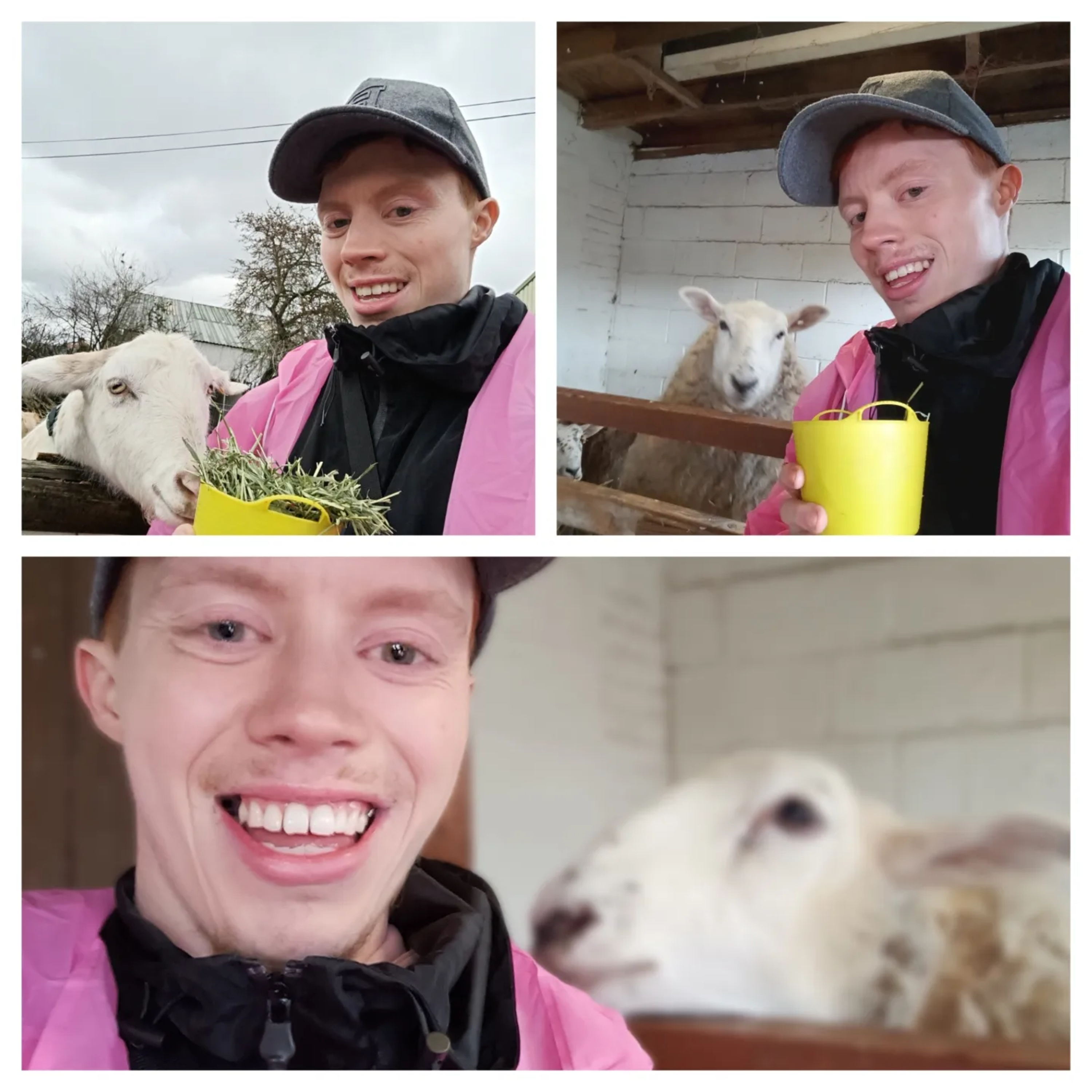 A Day In The Life Of Pete!