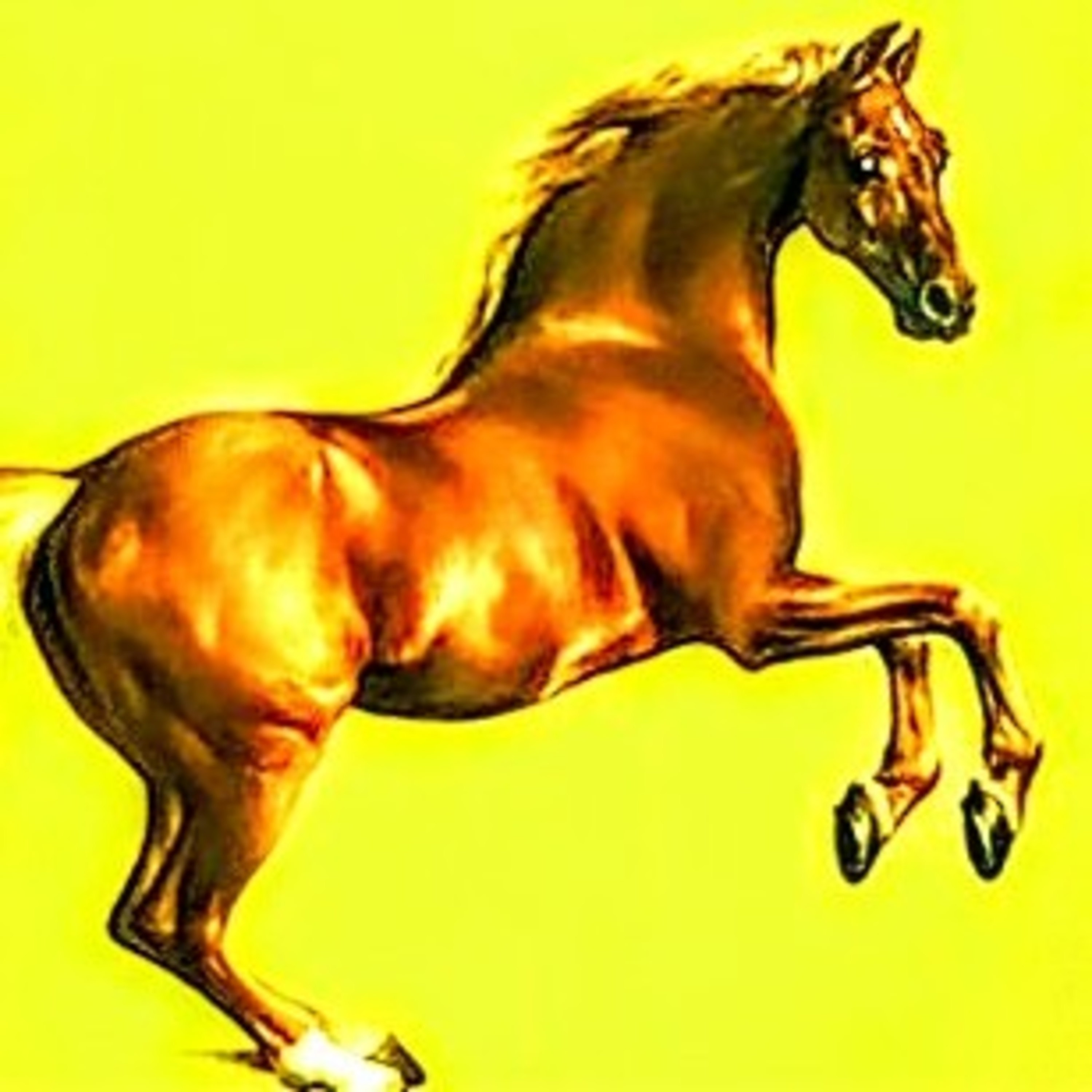 MY KINGDOM FOR A HORSE