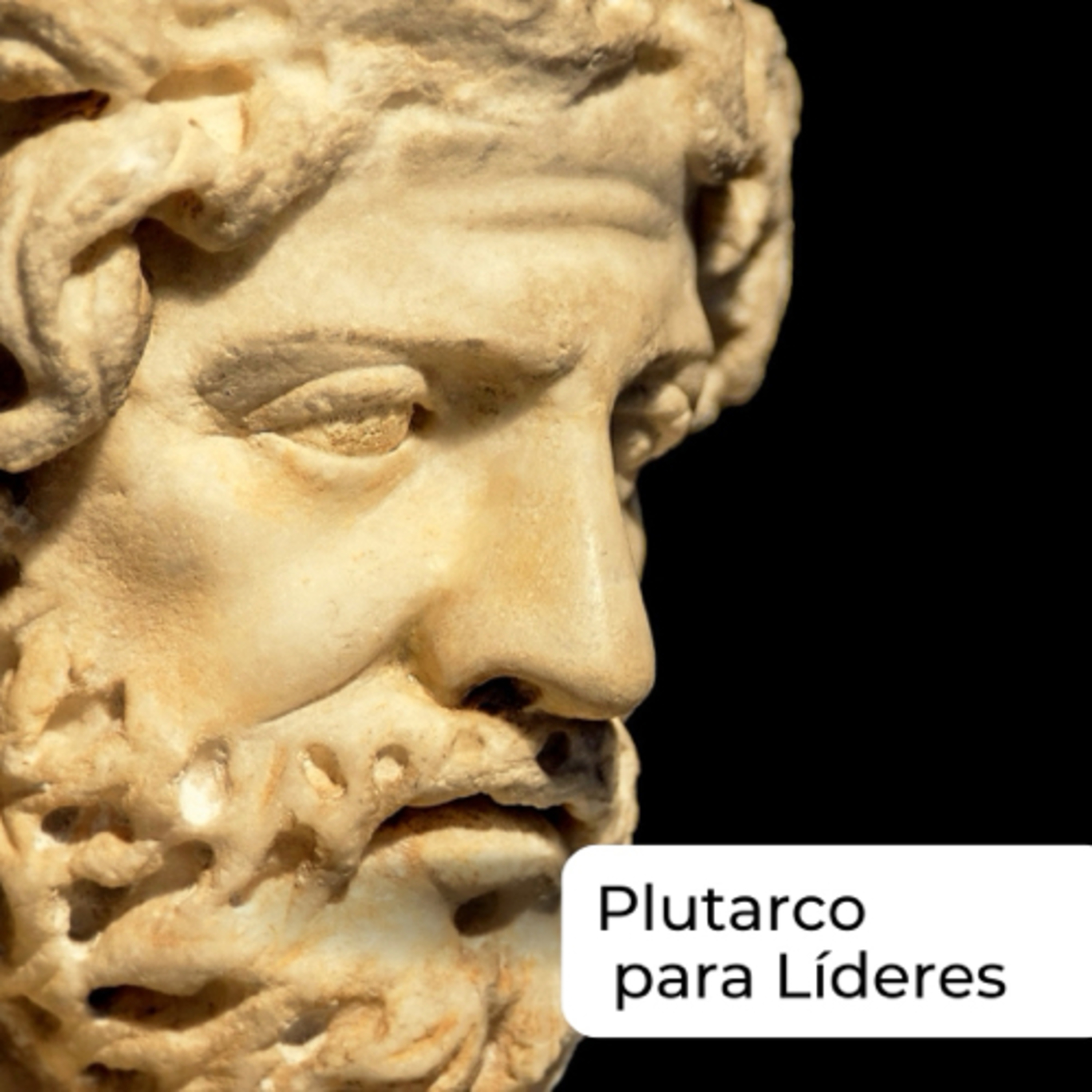 #112 Plutarco para líderes! O primeiro indício de um bajulador