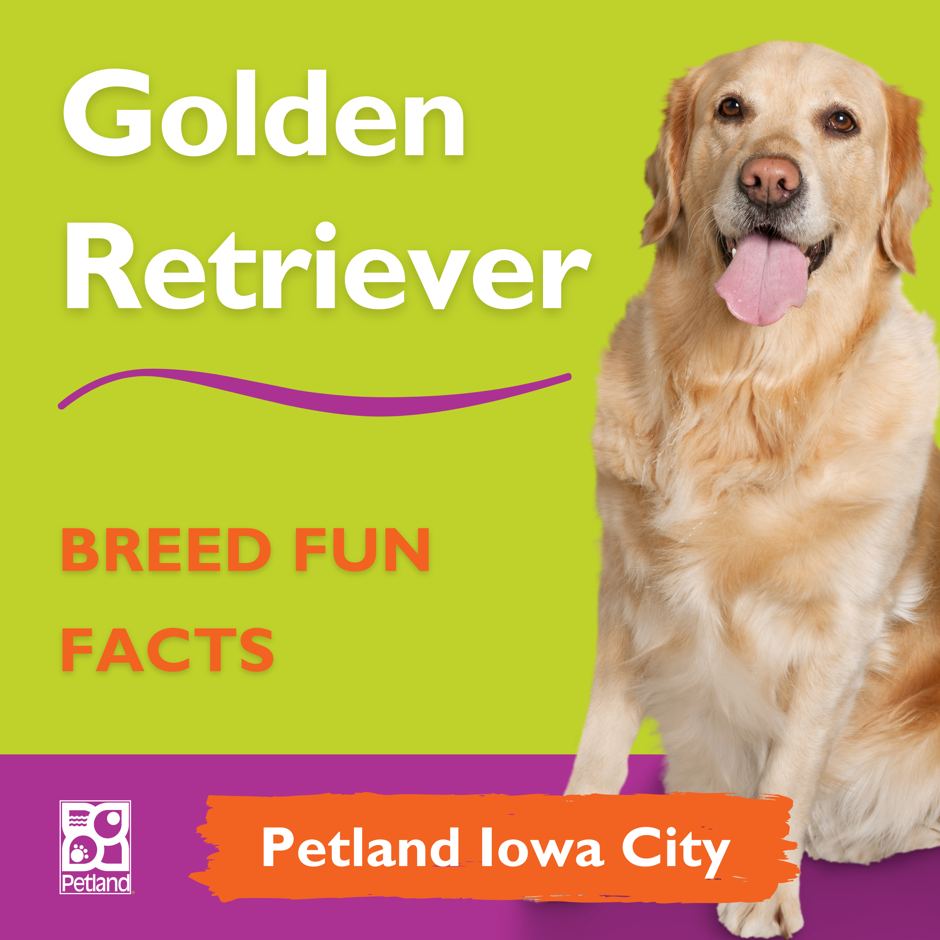 PAWSitively Petland Show