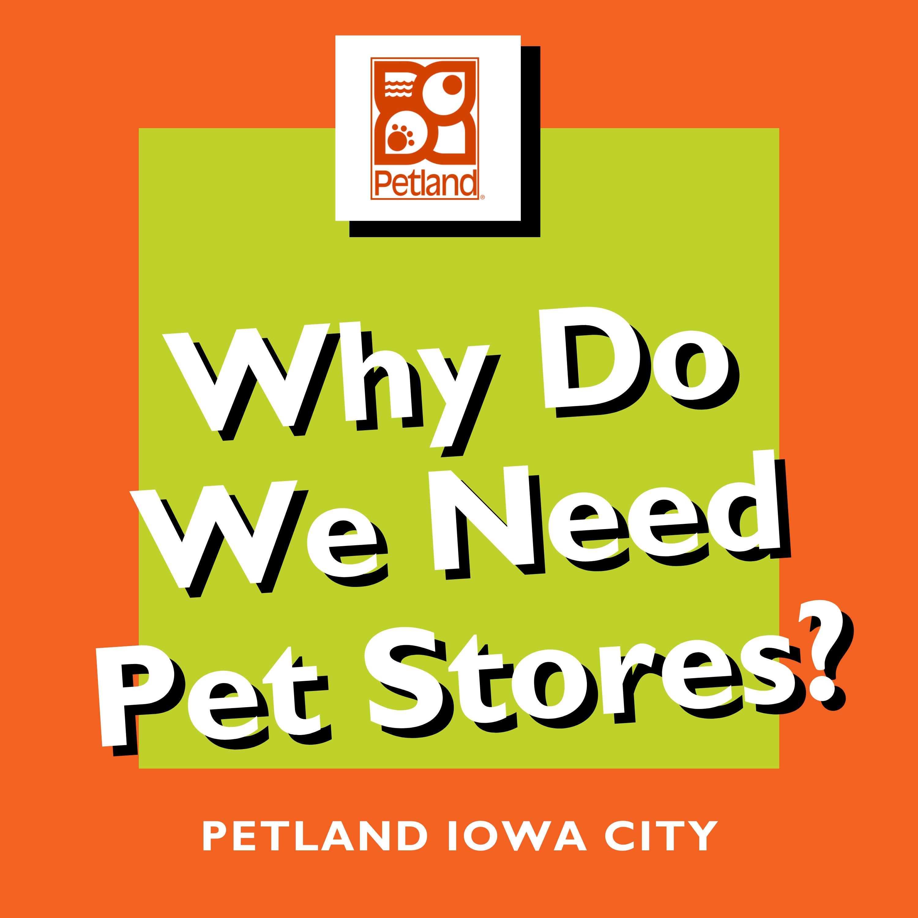 PAWSitively Petland Show