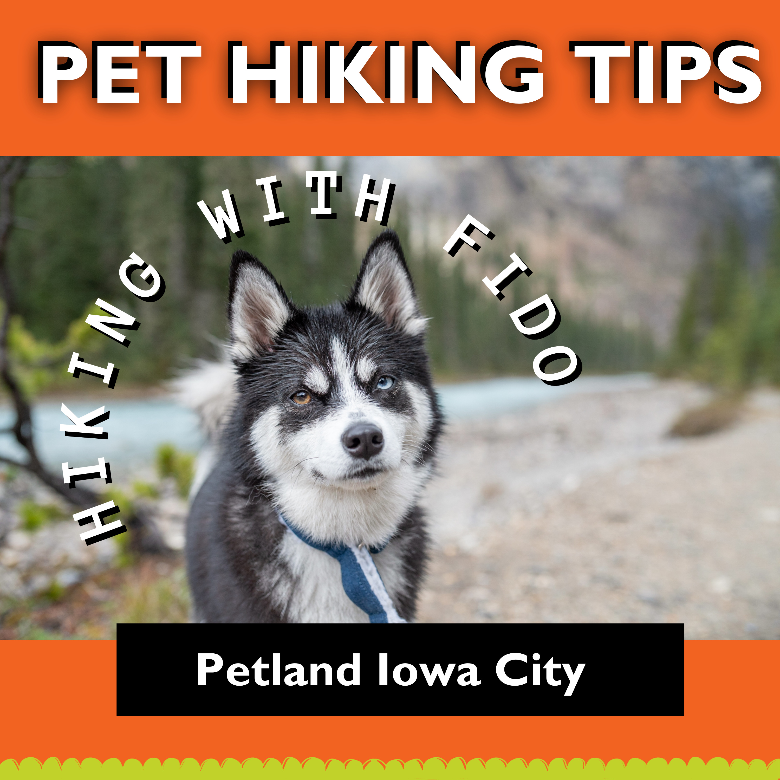 PAWSitively Petland Show