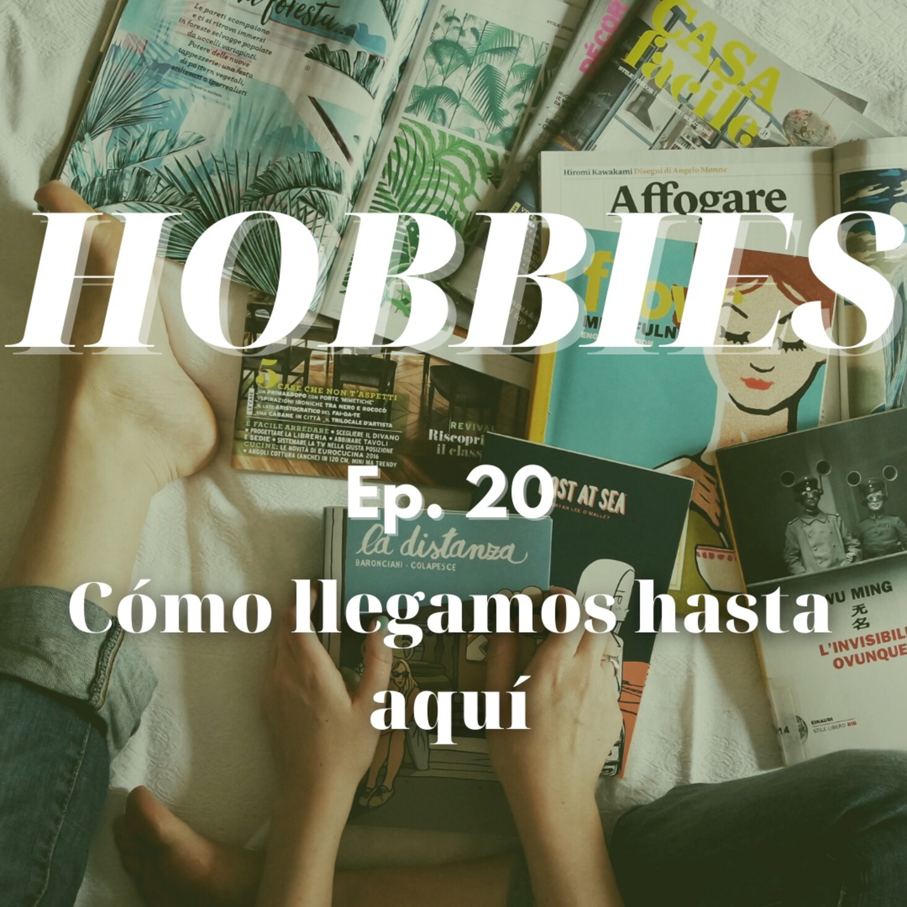 Cómo llegamos hasta aquí