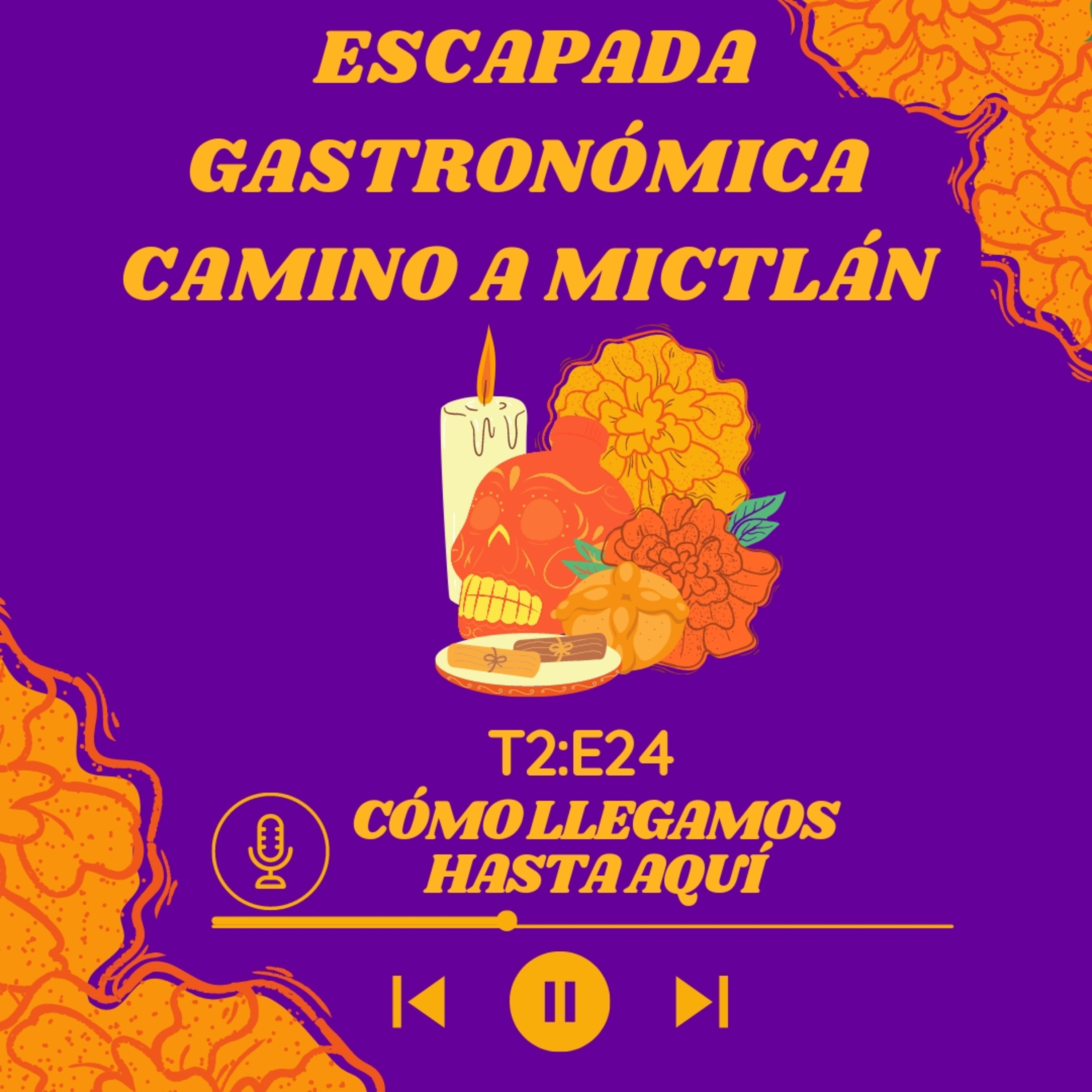 Cómo llegamos hasta aquí