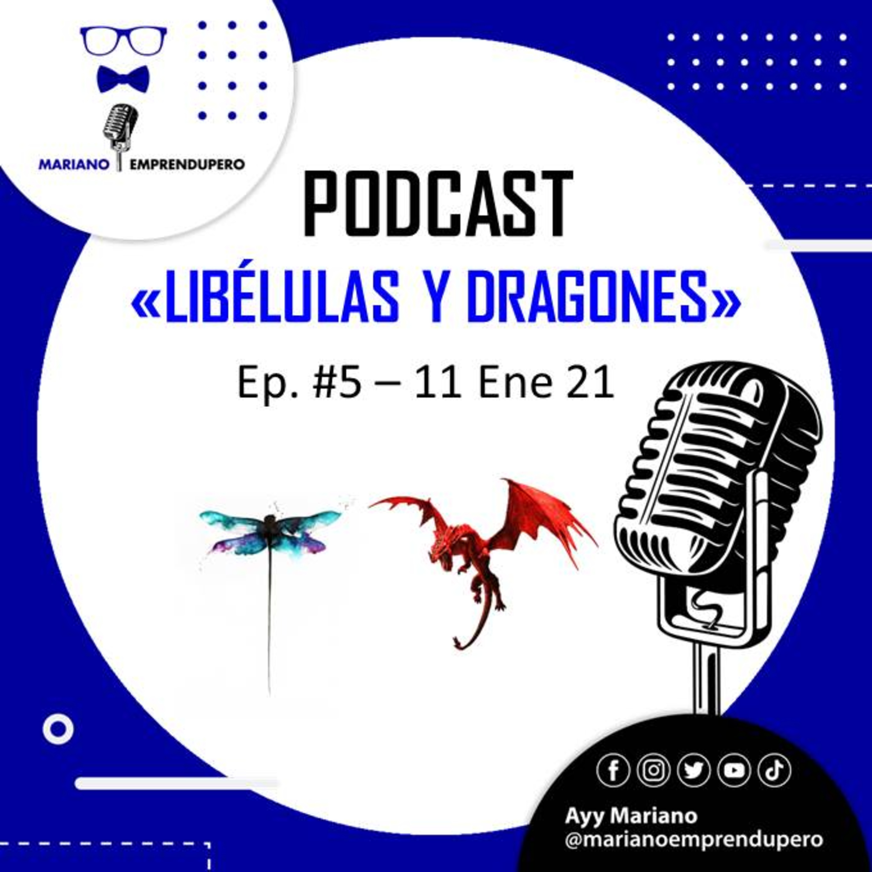 El Reprogramador