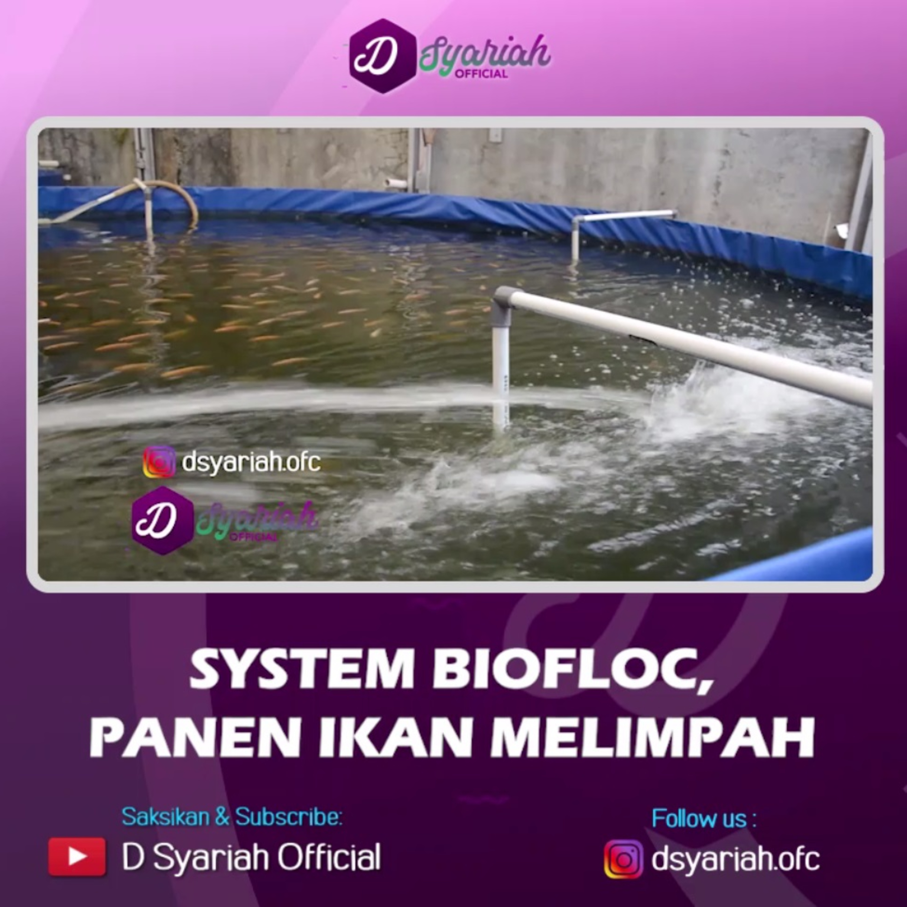 SISTEM BIOFLOC, BIKIN PANEN IKAN MELIMPAH