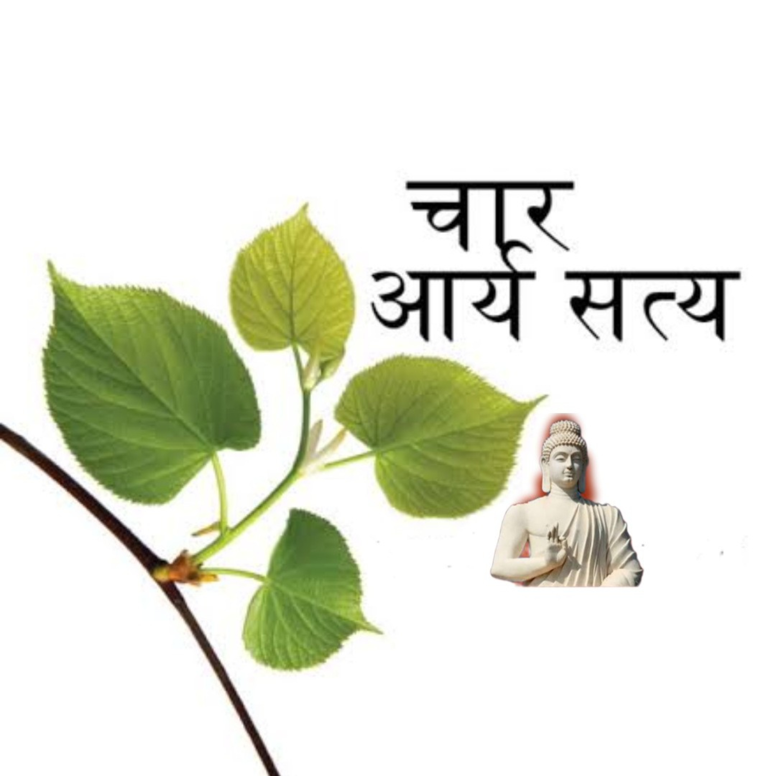 आर्य सत्य  episode artwork