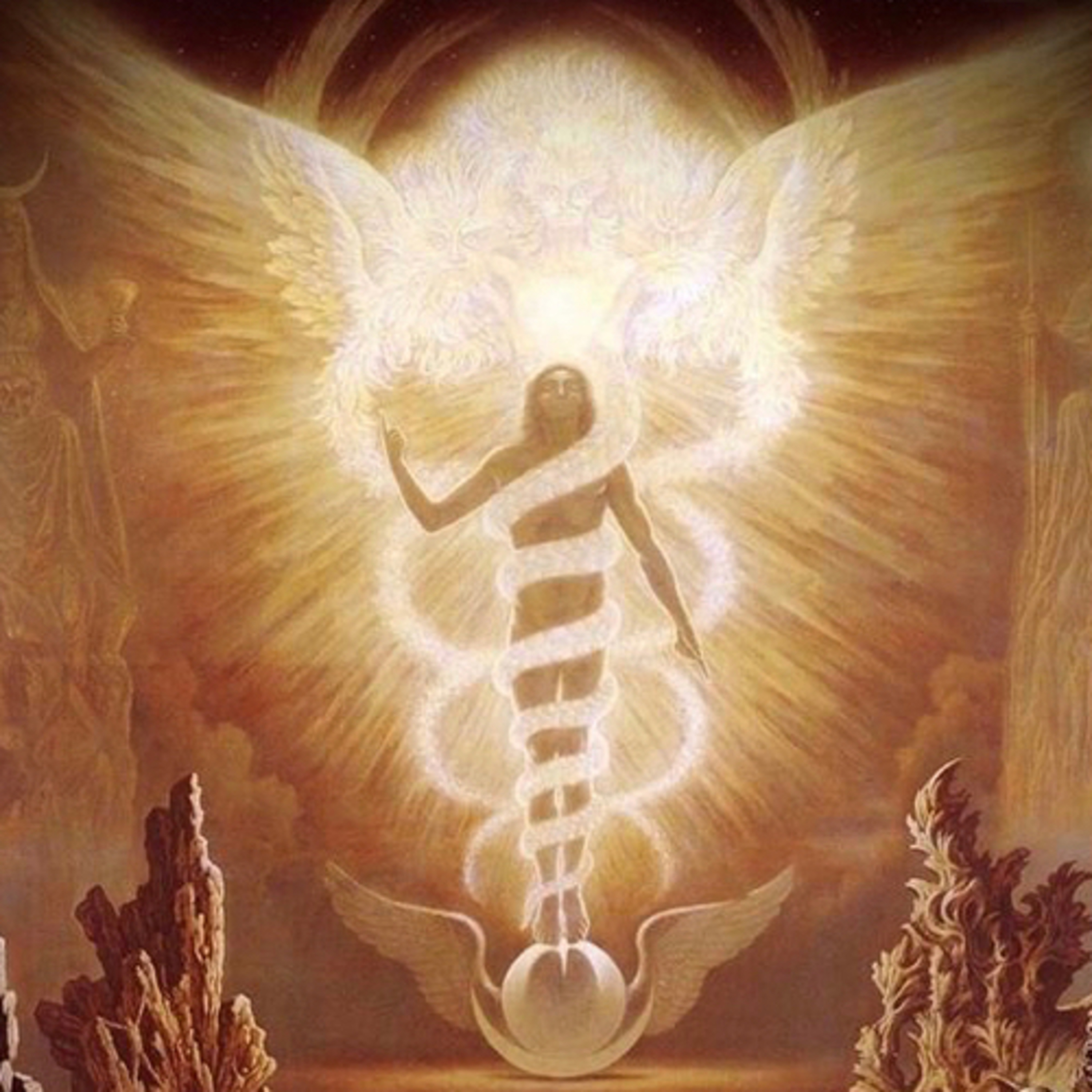 ✨Camina la Humanidad Galáctica ✨