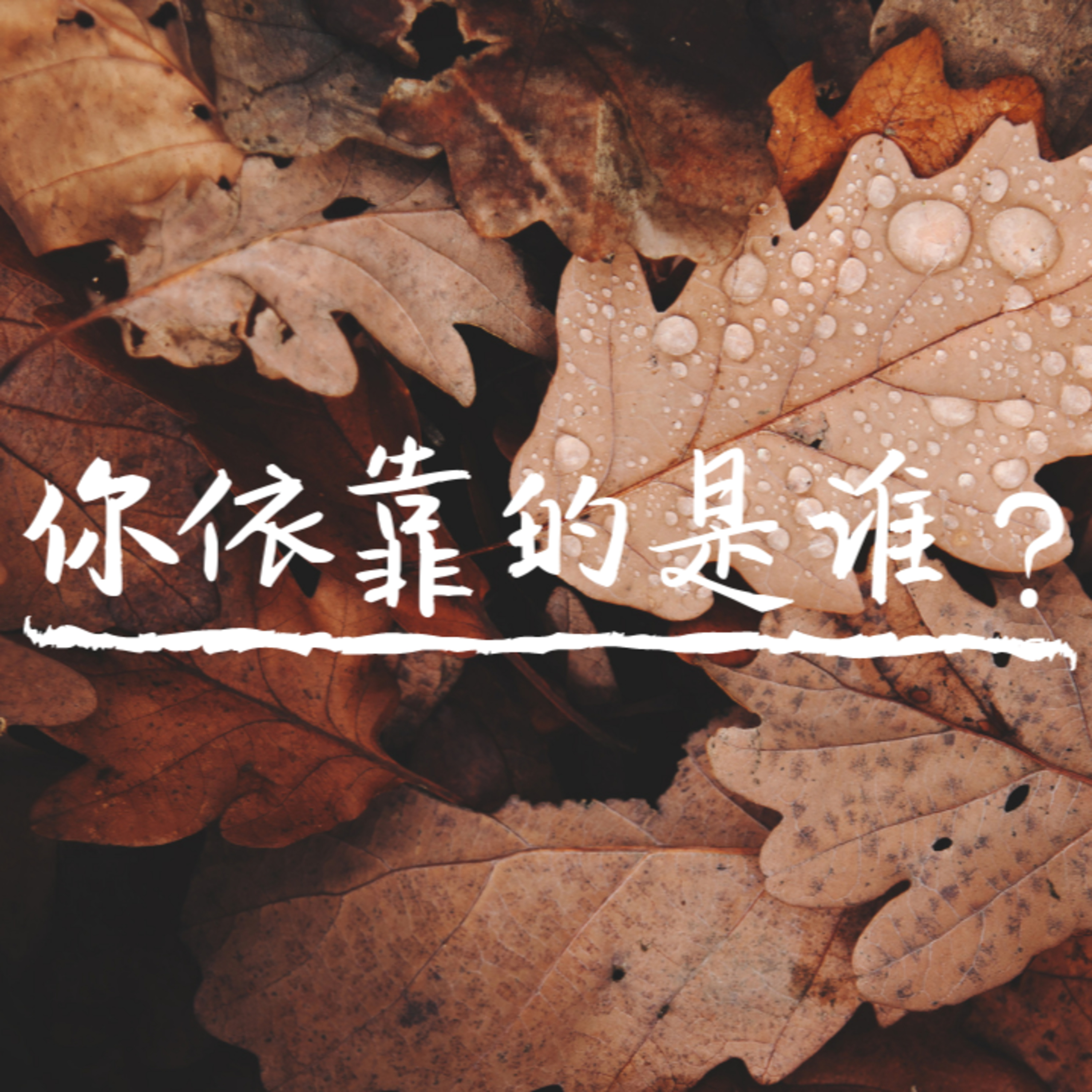 #5. 你依靠的是谁 episode artwork