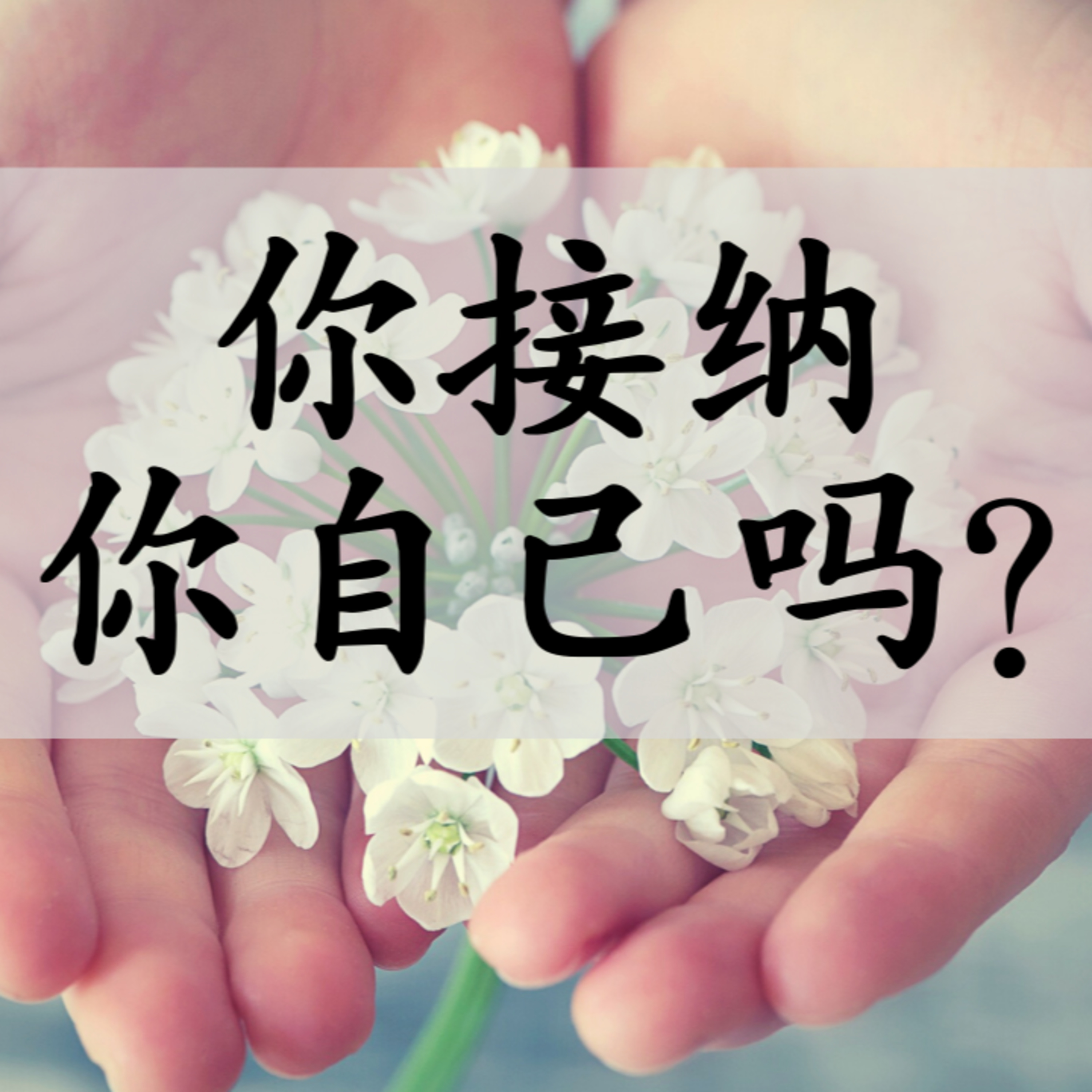 #6. 你接纳你自己吗 episode artwork