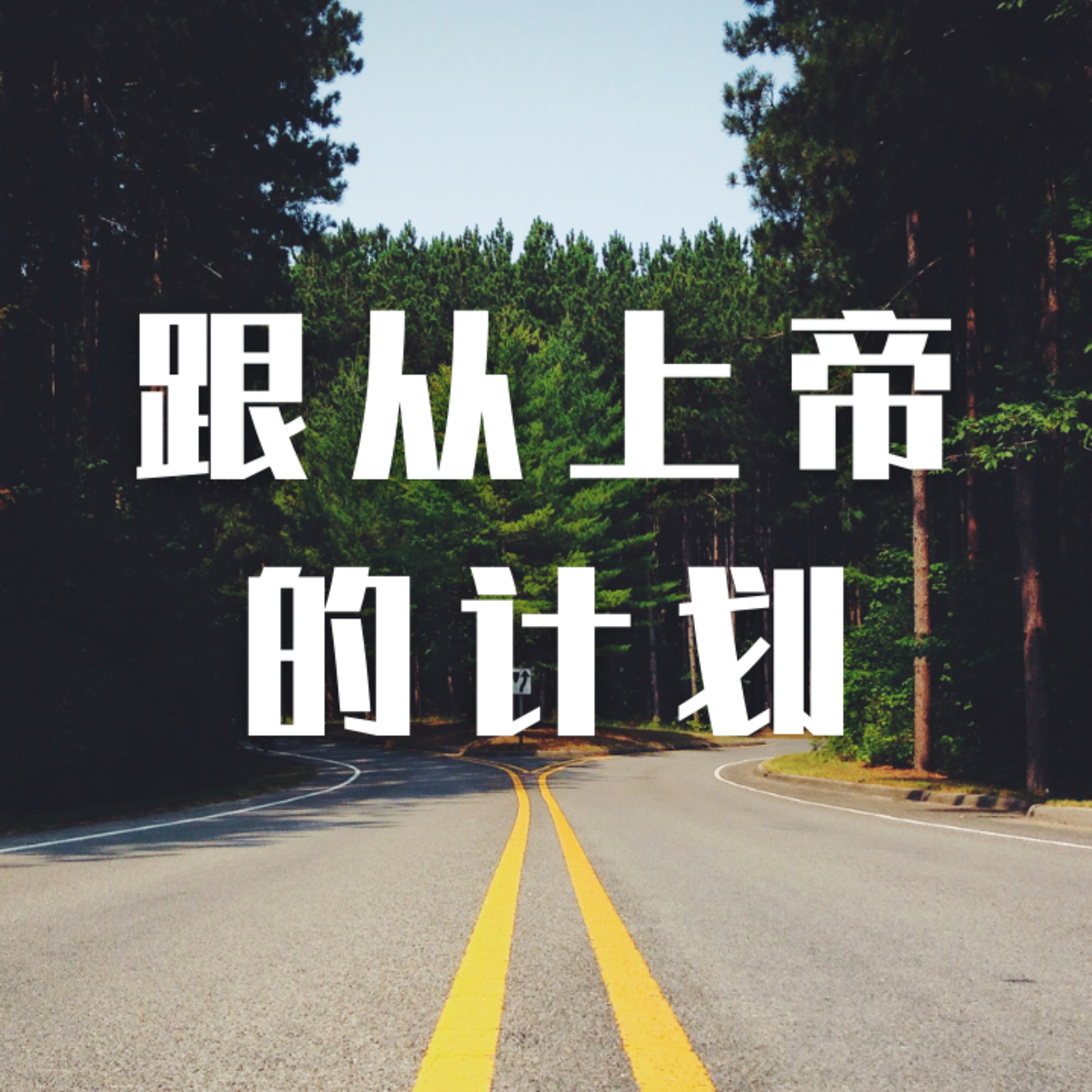 #12 跟从上帝的计划 episode artwork
