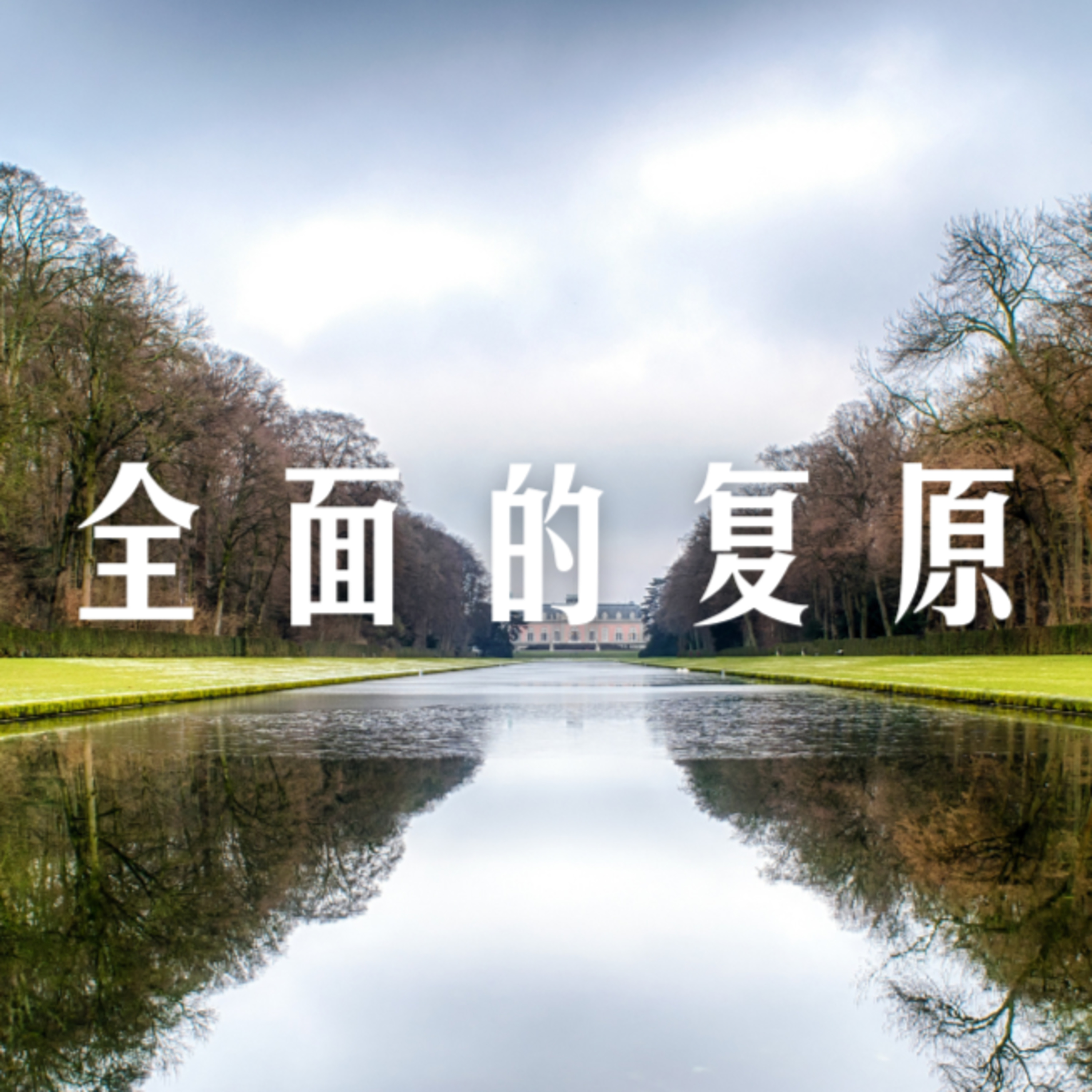 #13 全面的复原 episode artwork