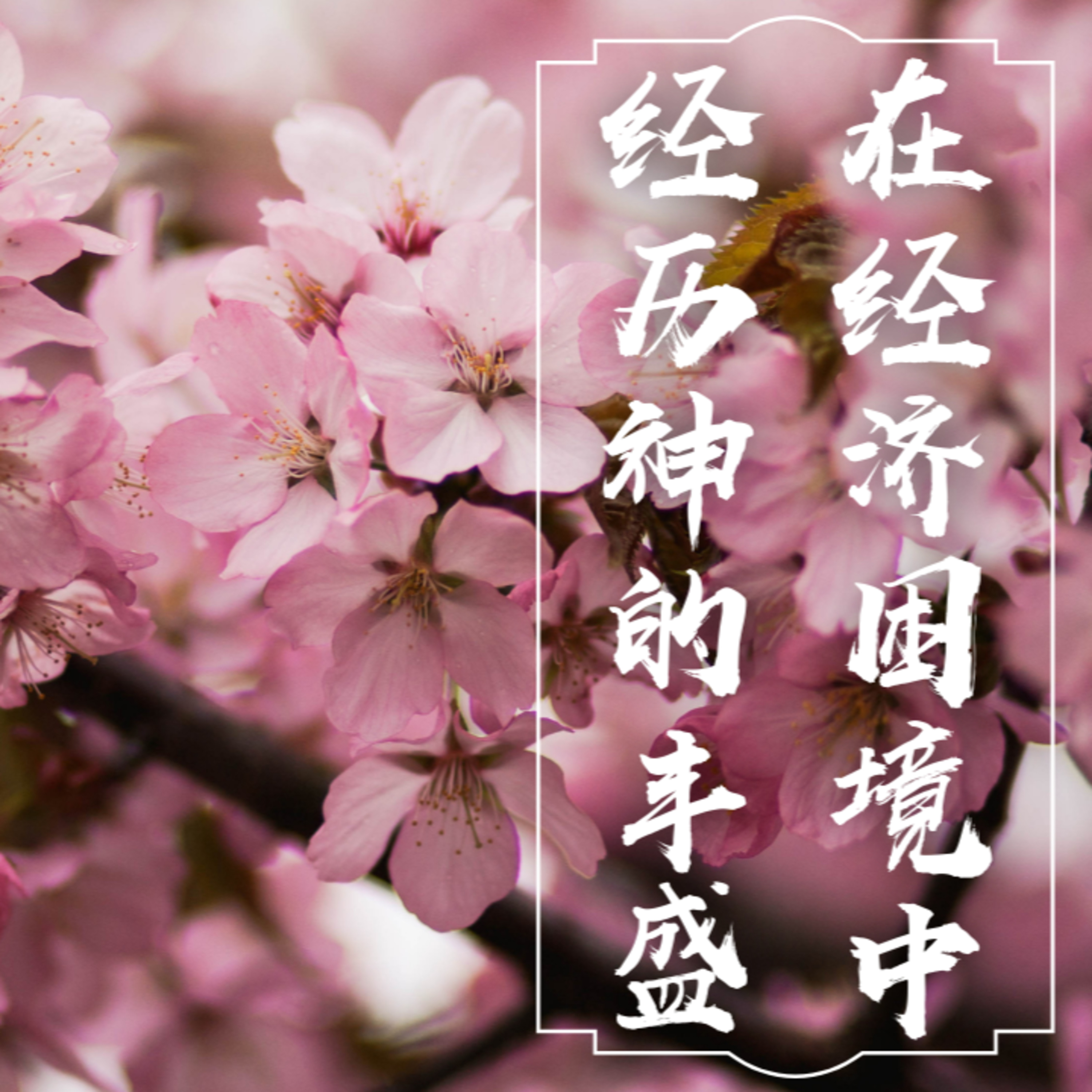 #21 在经济困境中经历神的丰盛 episode artwork