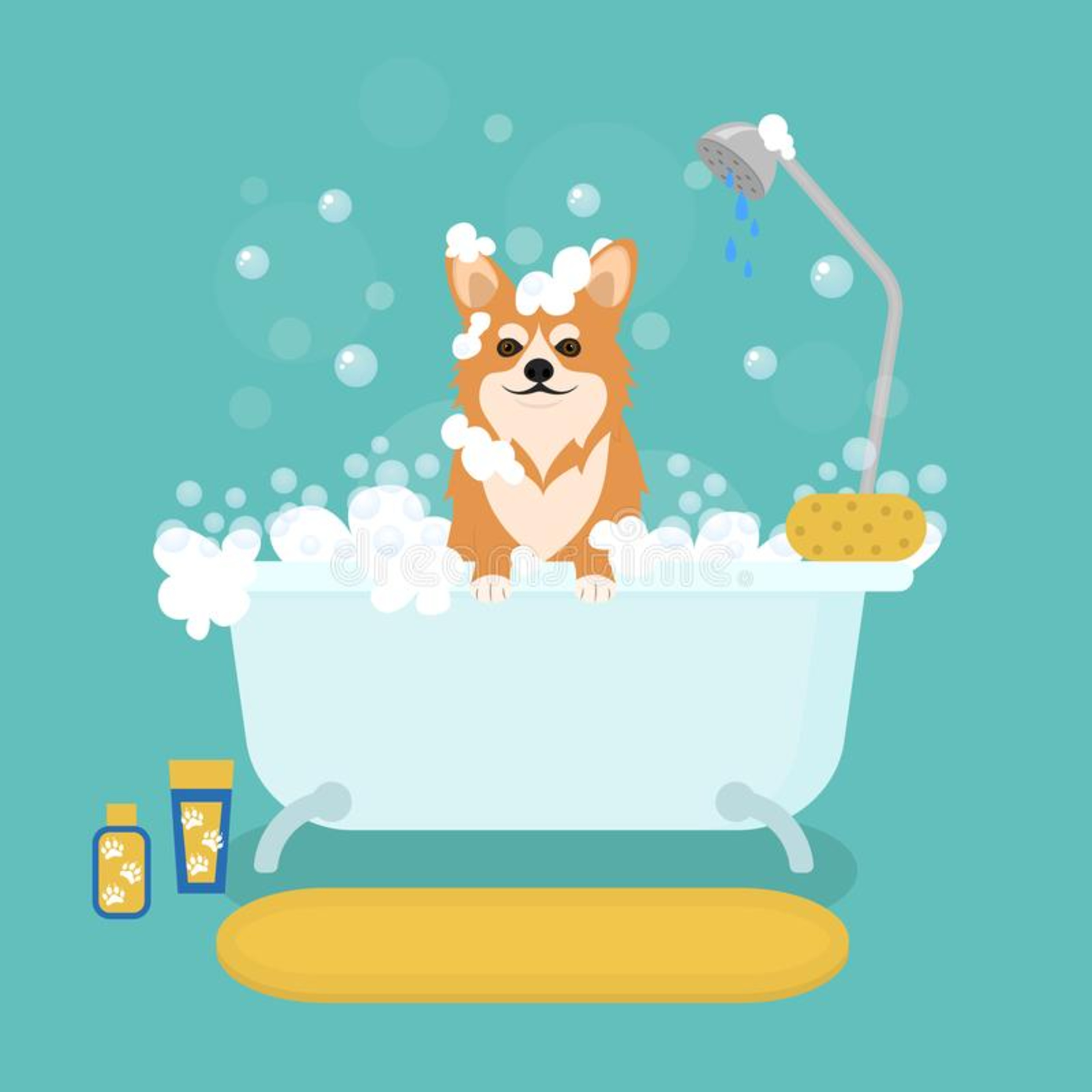Relax My Dog