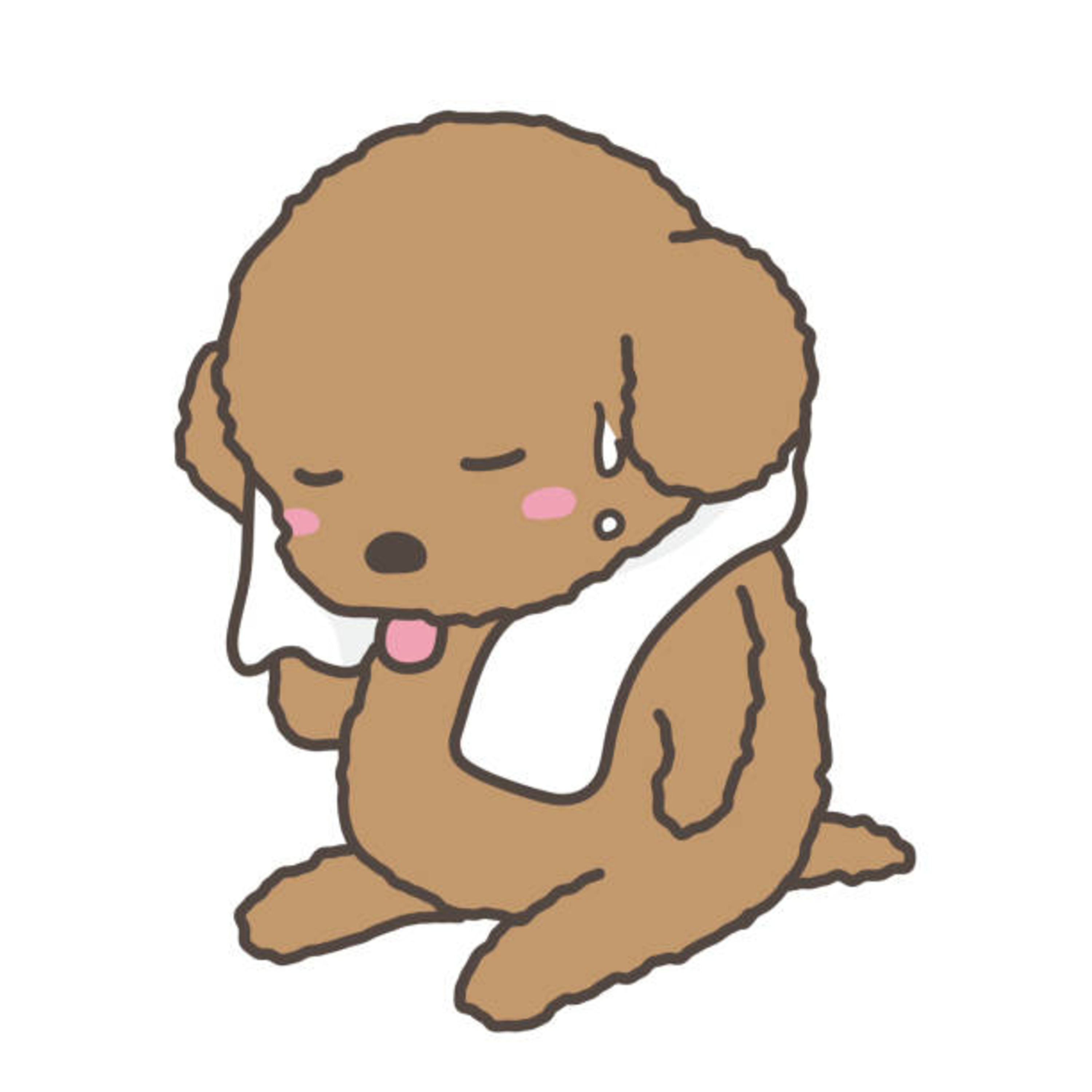 Relax My Dog