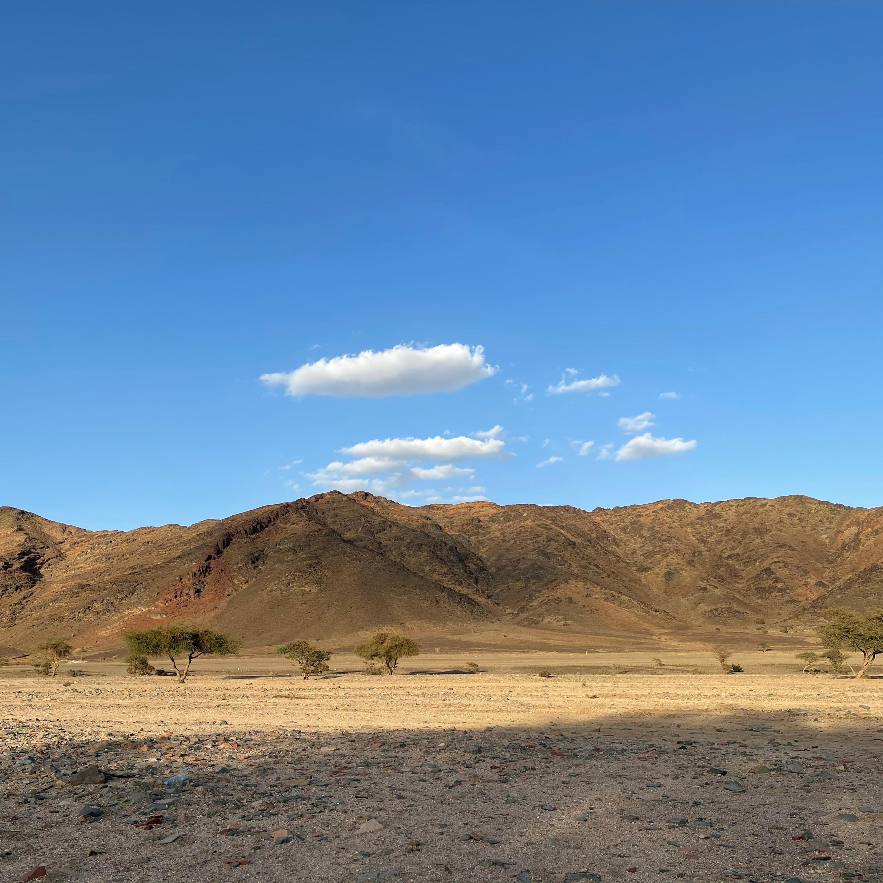 الحلقة الثانيه من بودكاست تجارب