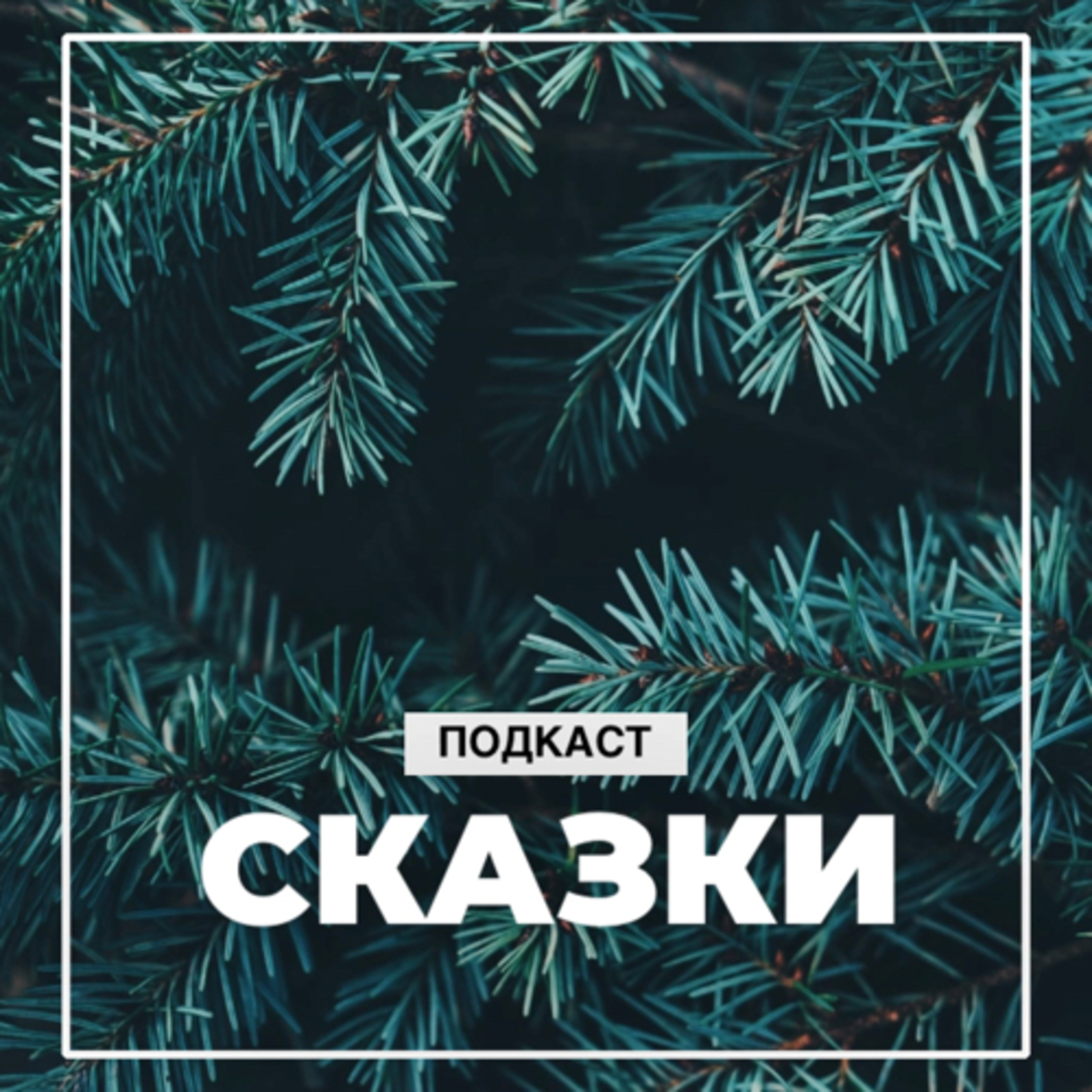 Сказка: Пусть будет «Квак» episode artwork