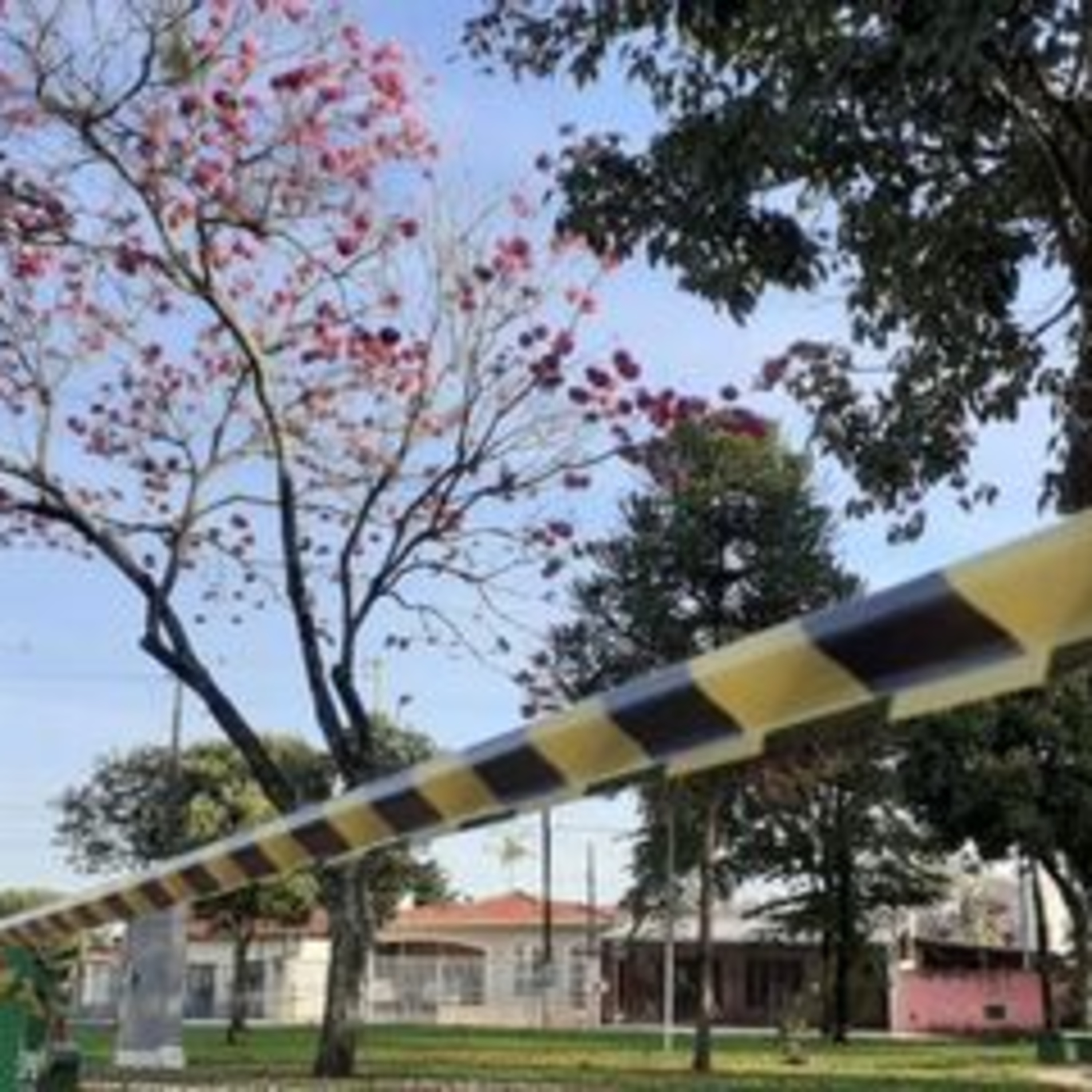Vozes da Quarentena